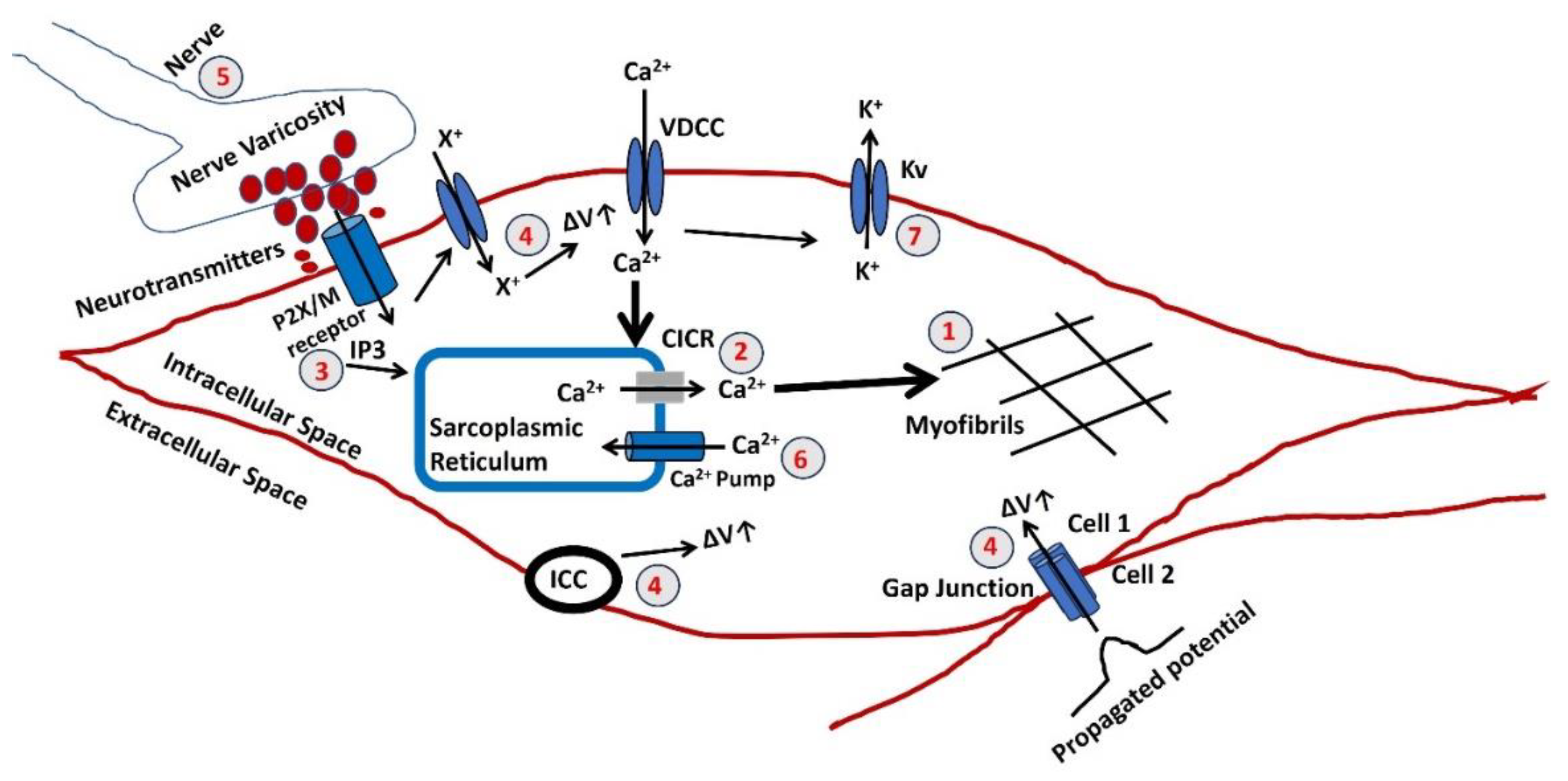 Preprints 102378 g003