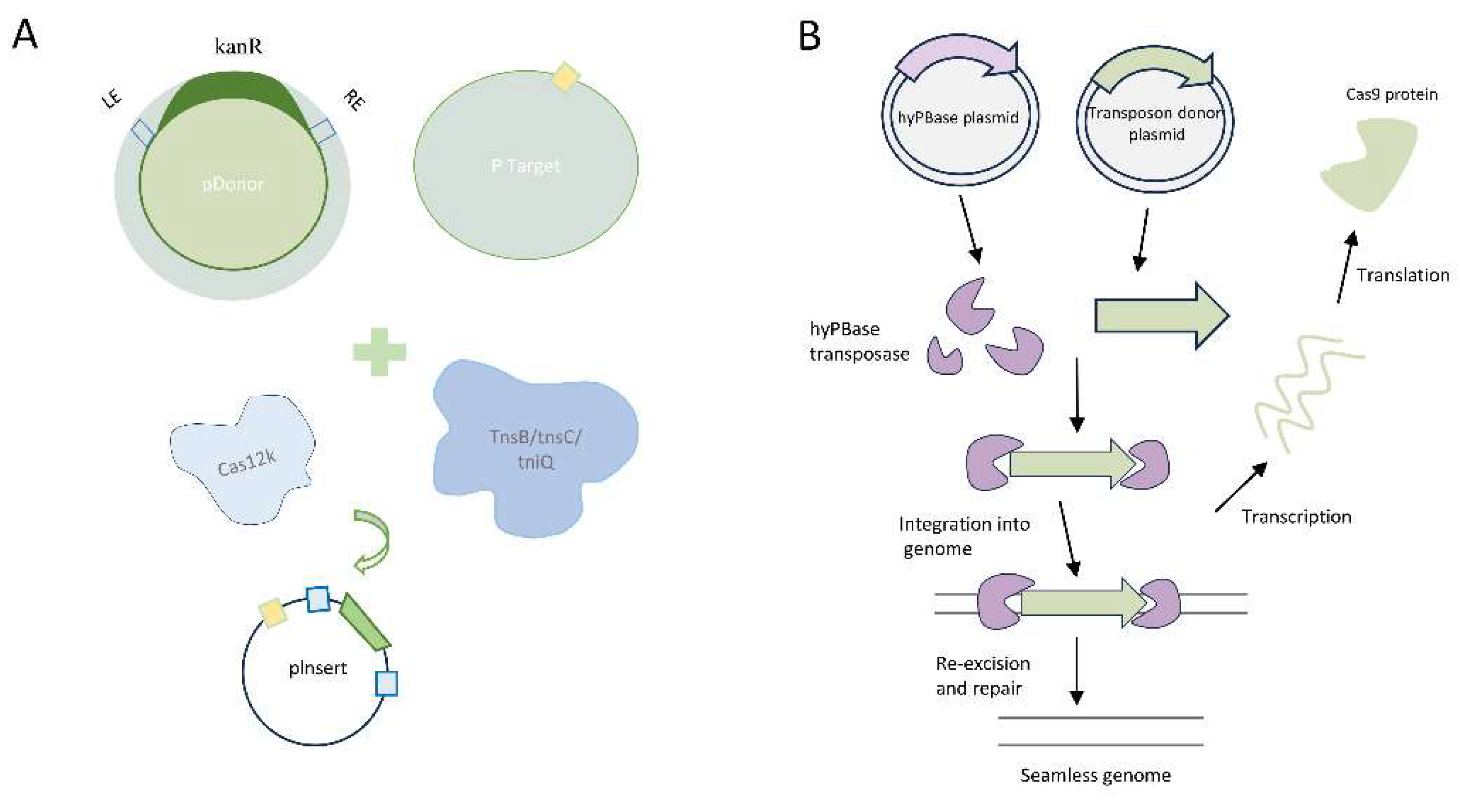 Preprints 78798 g002