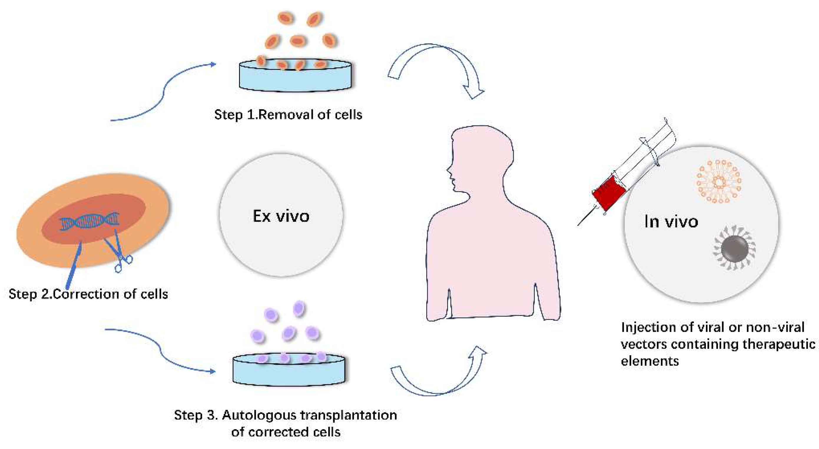 Preprints 78798 g003