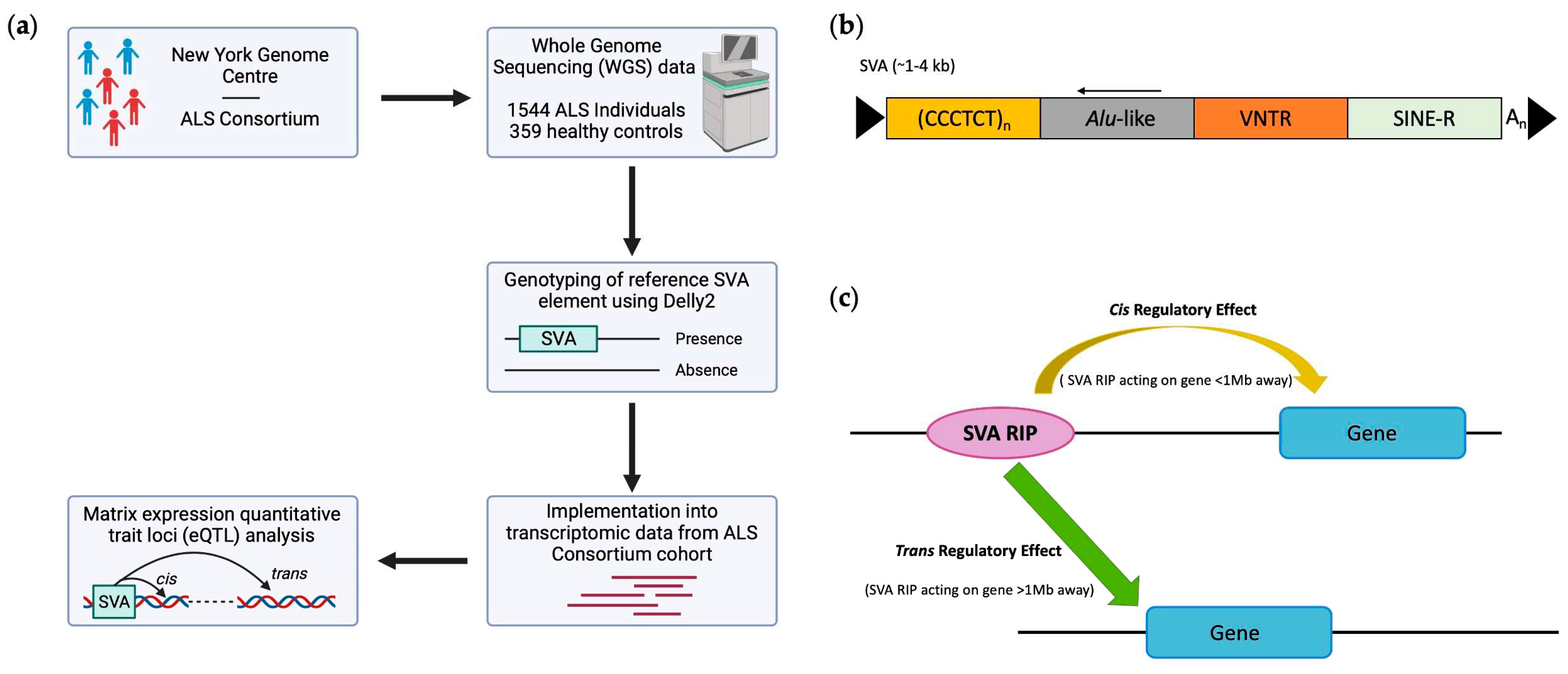 Preprints 94217 g001