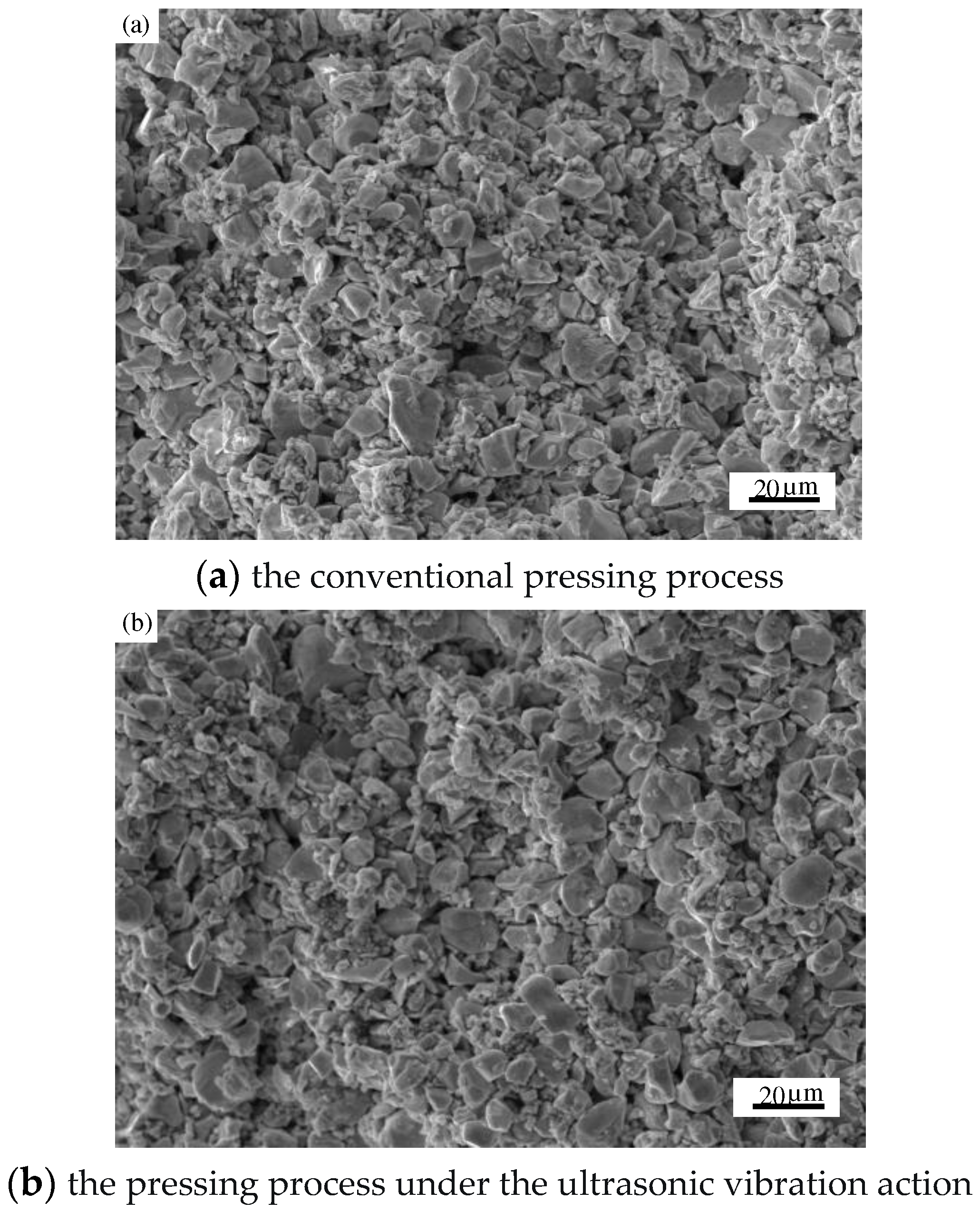 Preprints 77477 g011