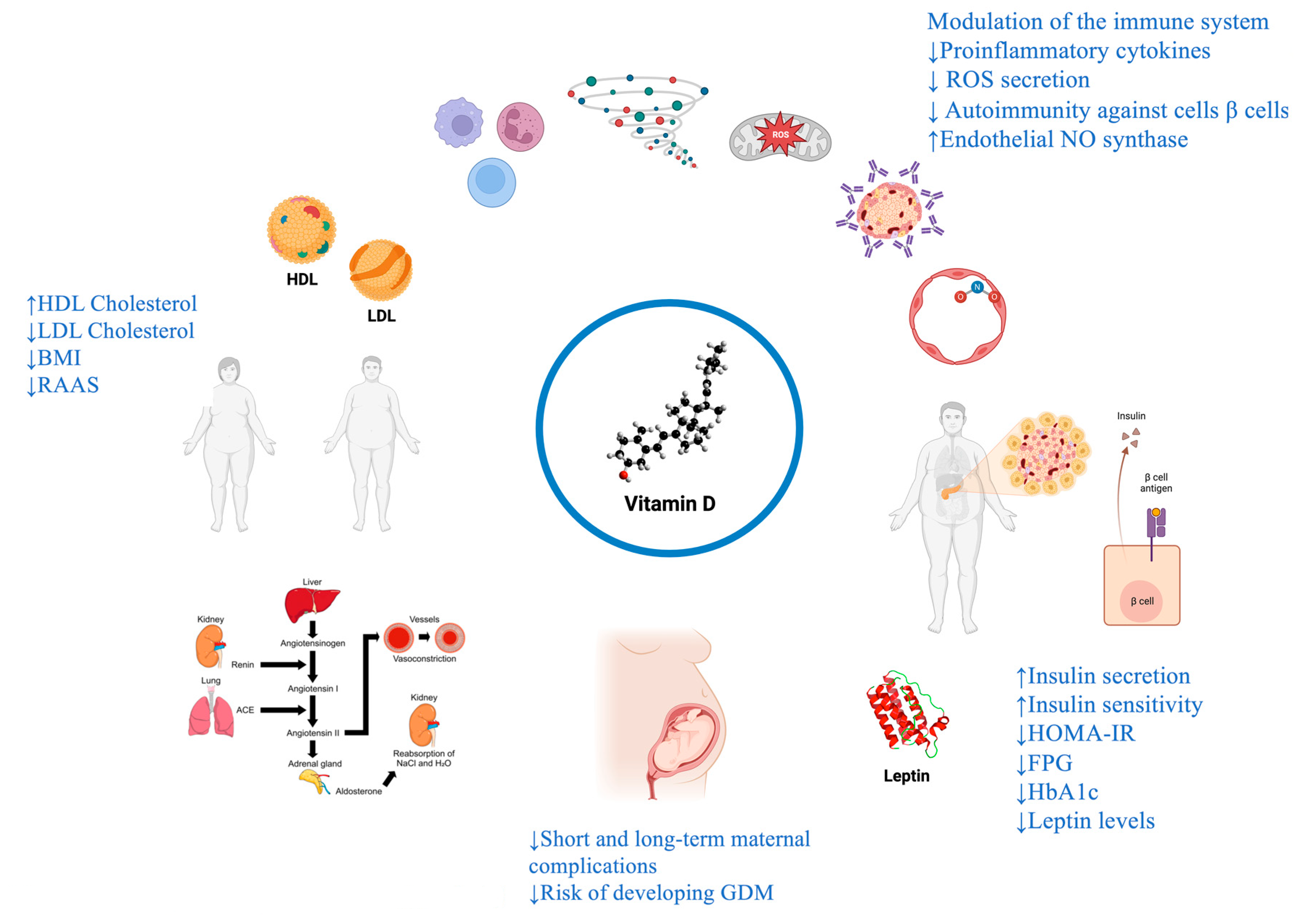 Preprints 84451 g001