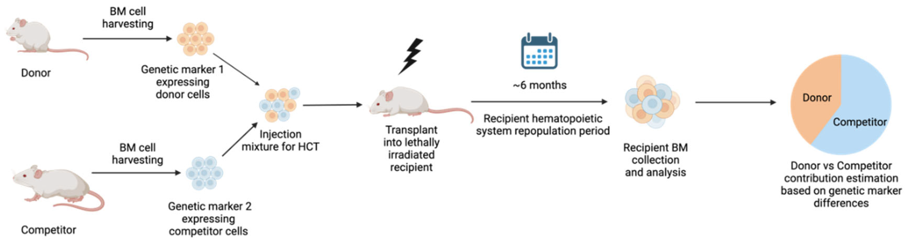 Preprints 94549 g001