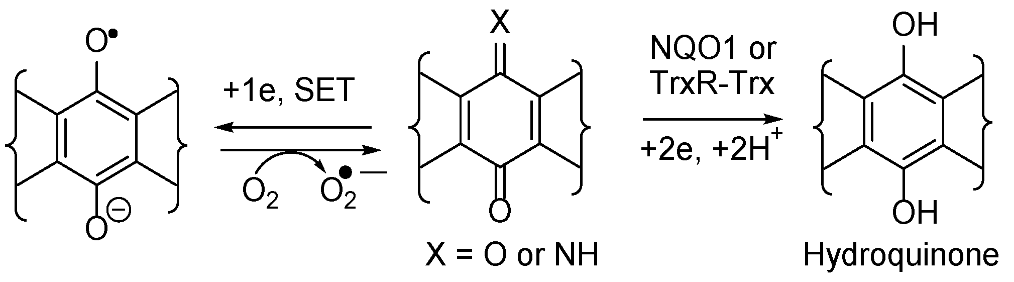 Preprints 75726 sch002