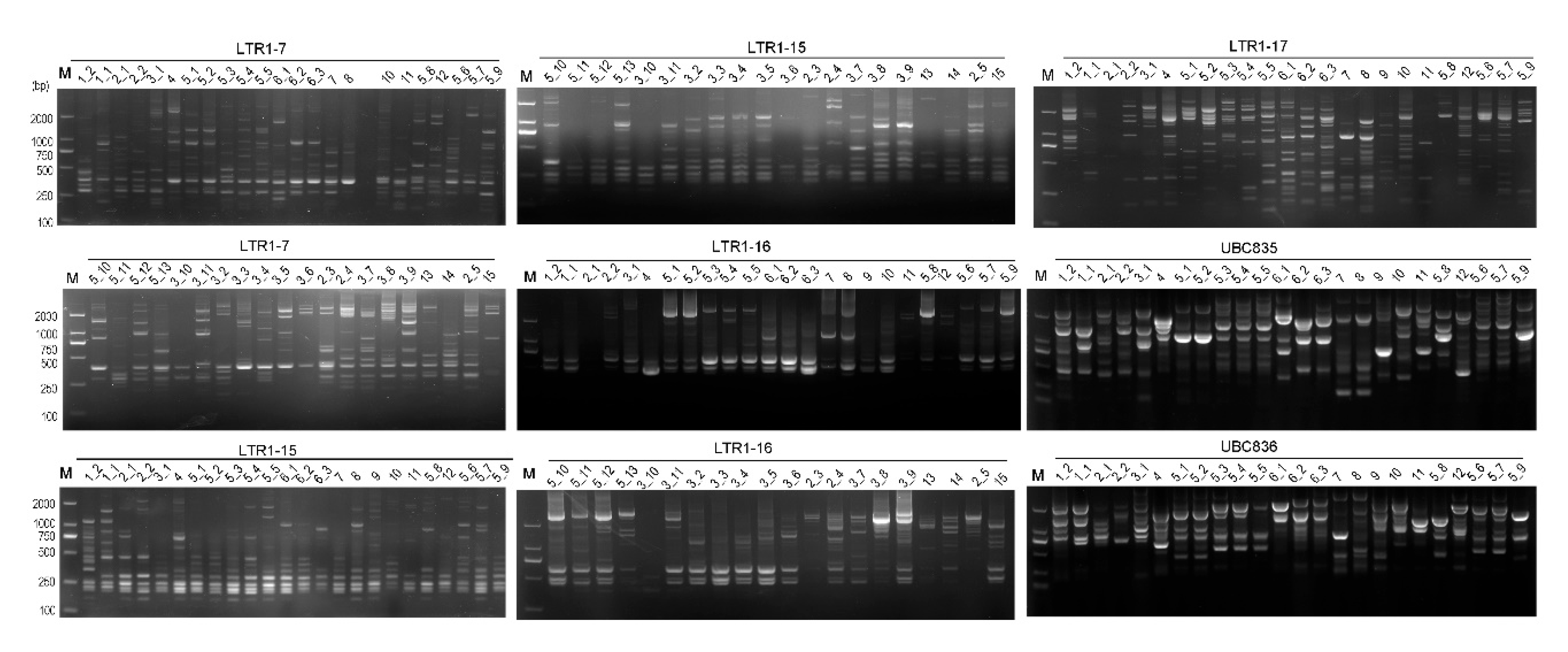 Preprints 70170 g001