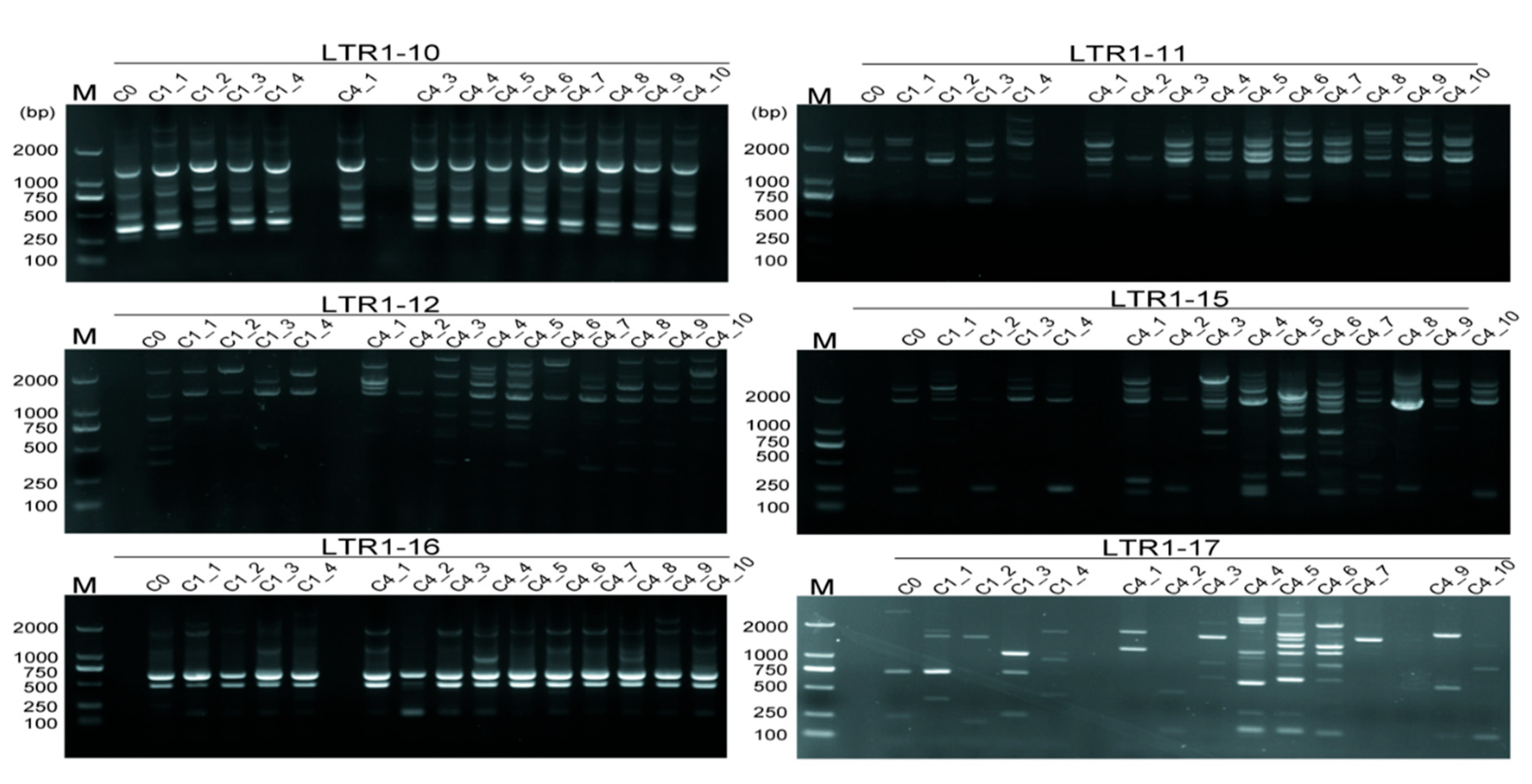 Preprints 70170 g007