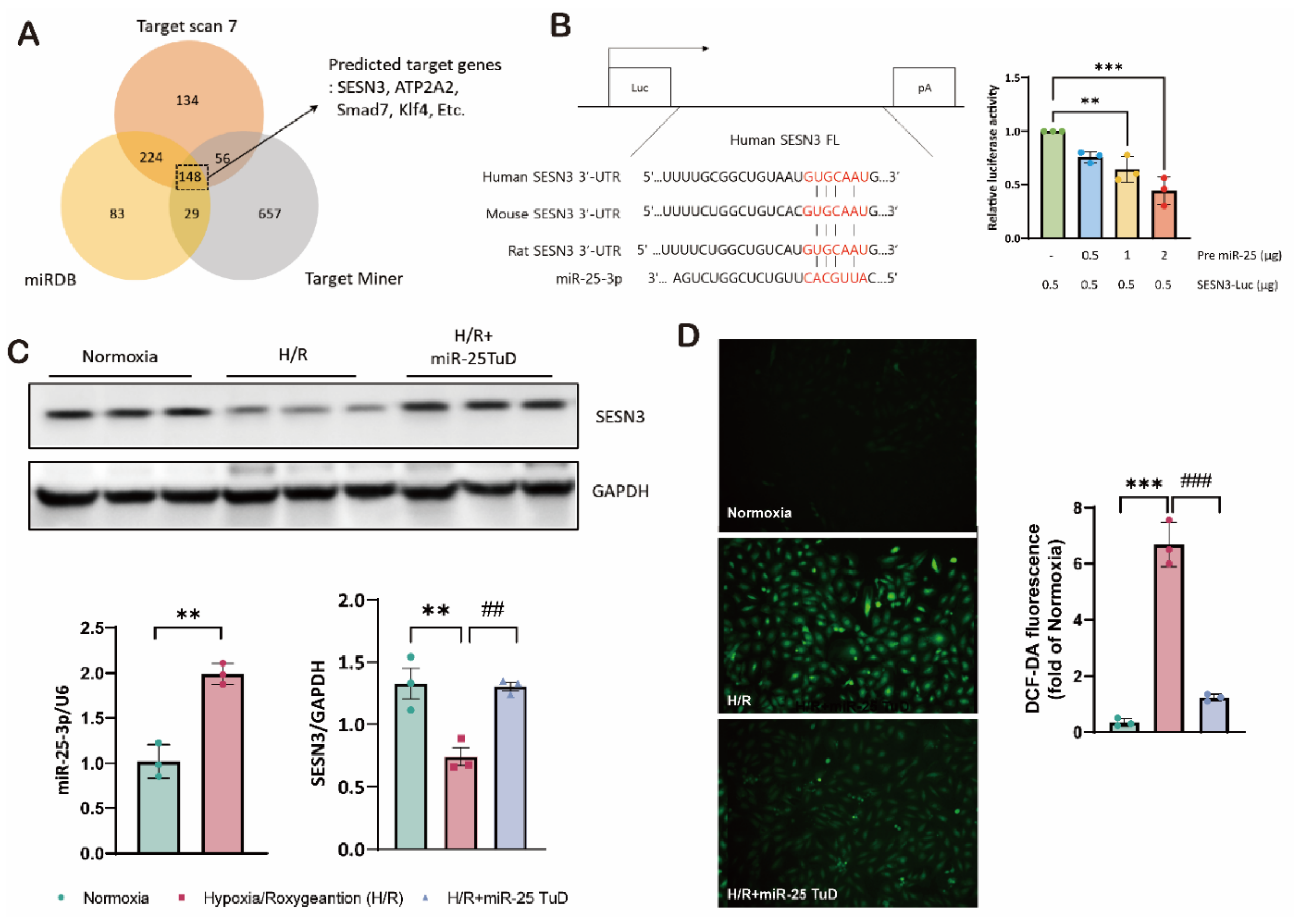 Preprints 121409 g001