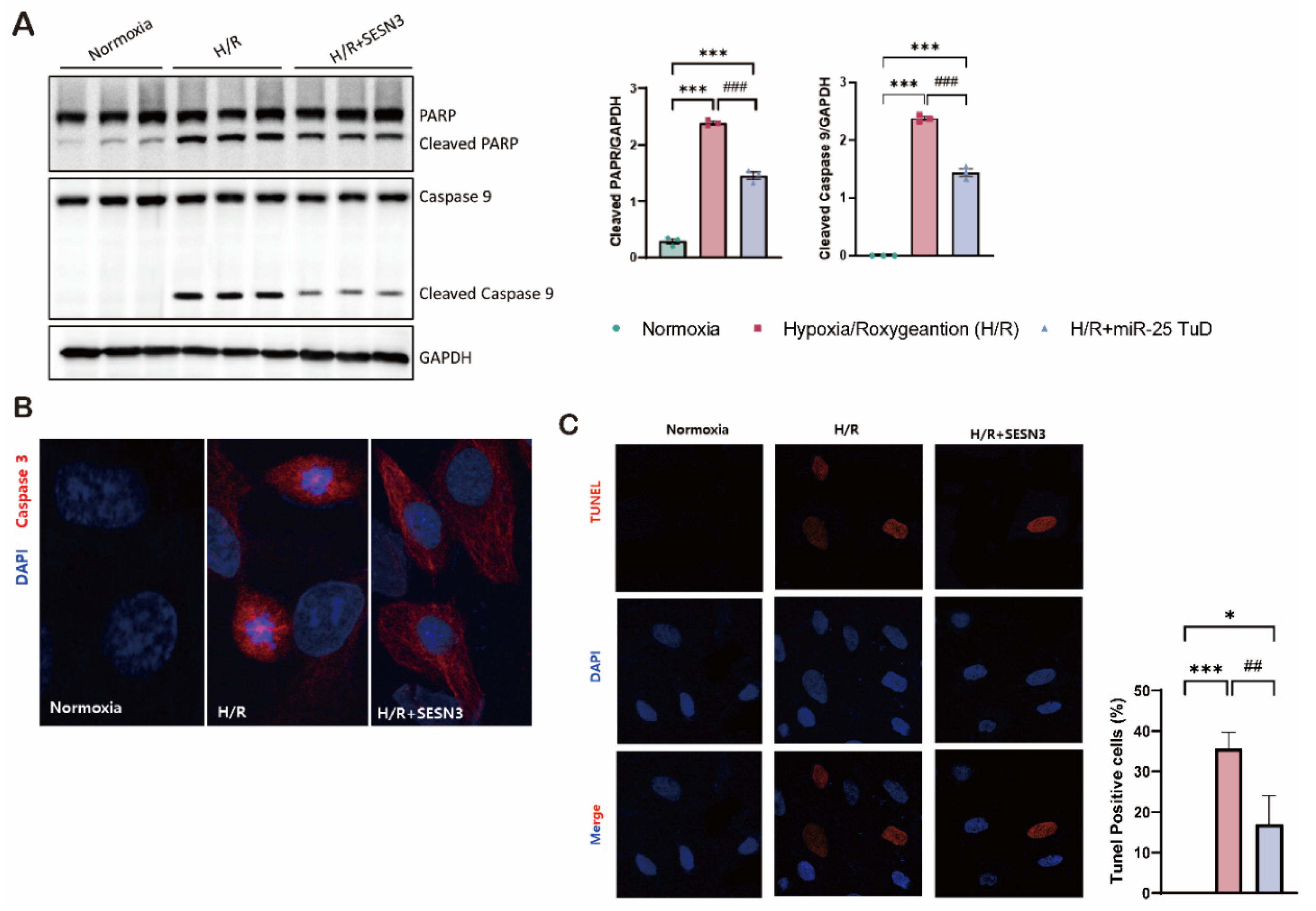 Preprints 121409 g002