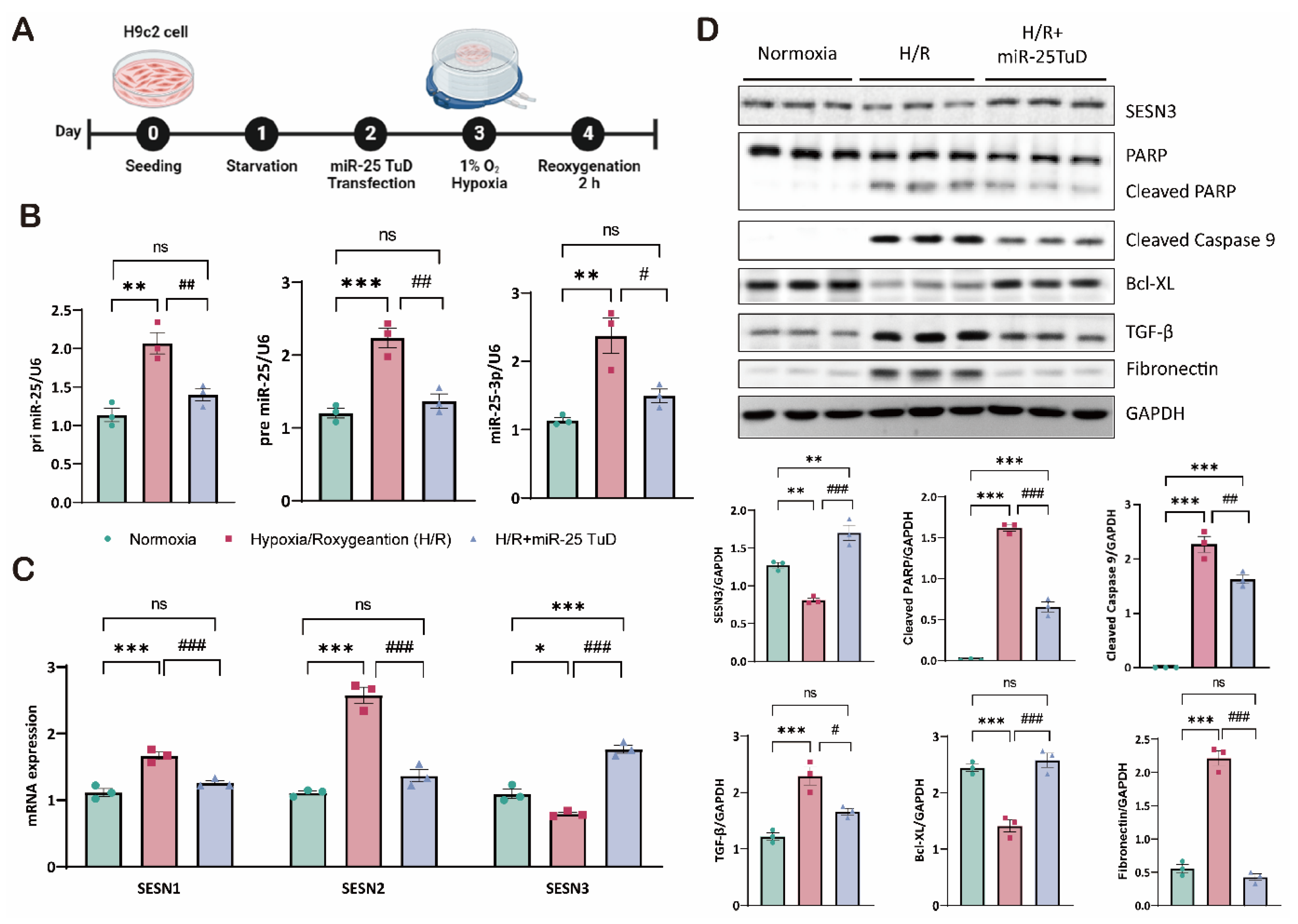 Preprints 121409 g003