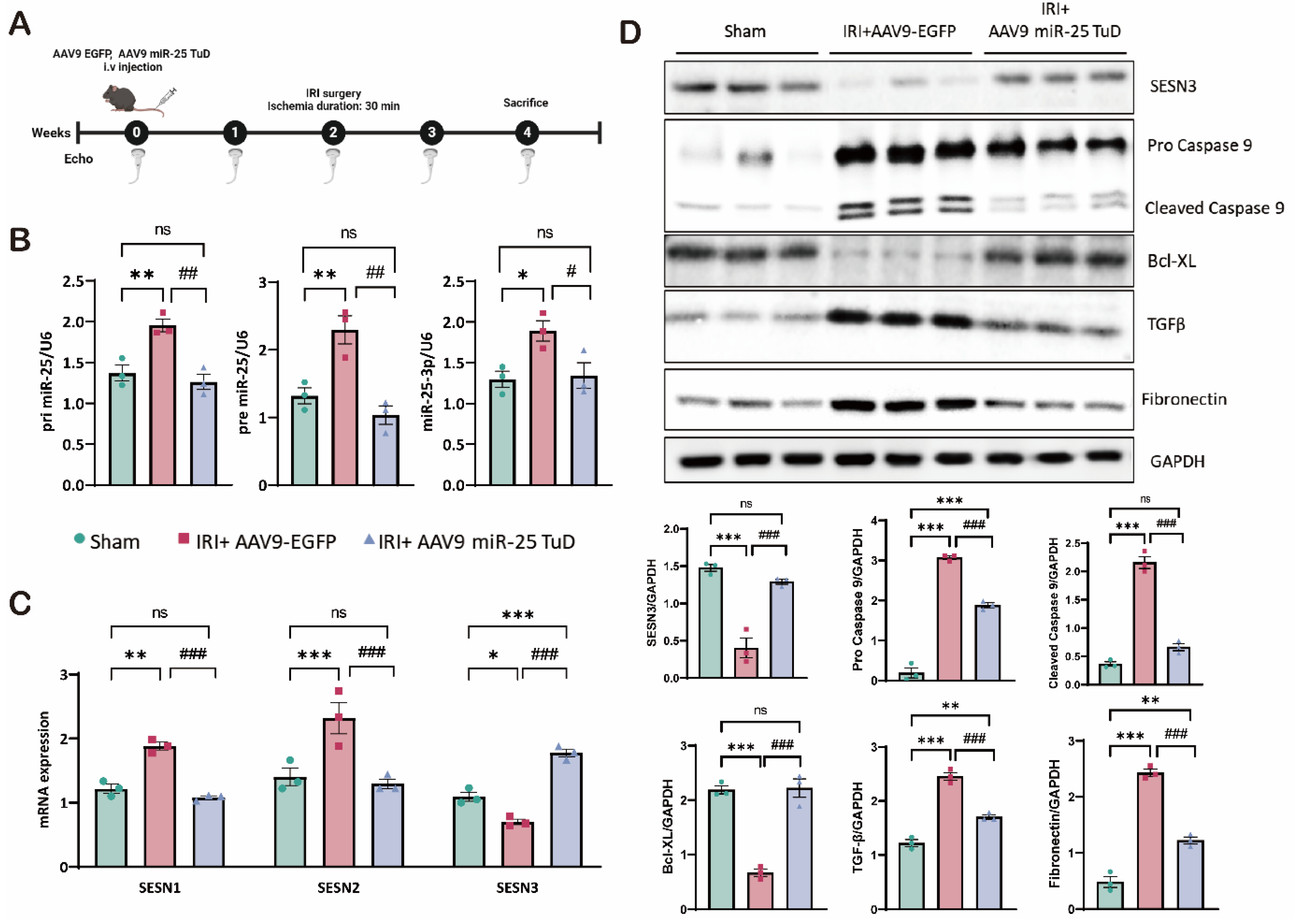 Preprints 121409 g004