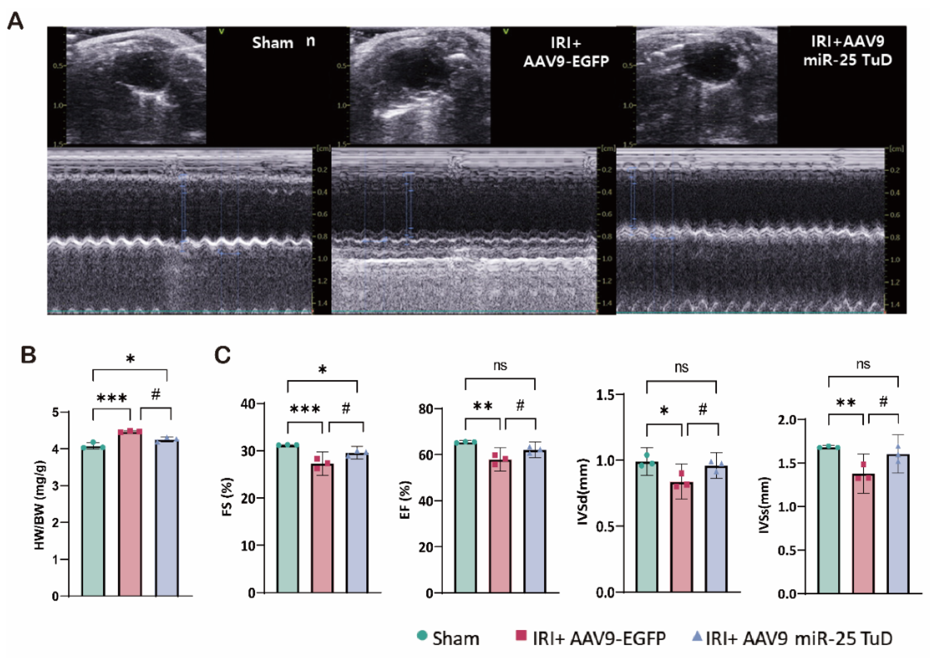 Preprints 121409 g005