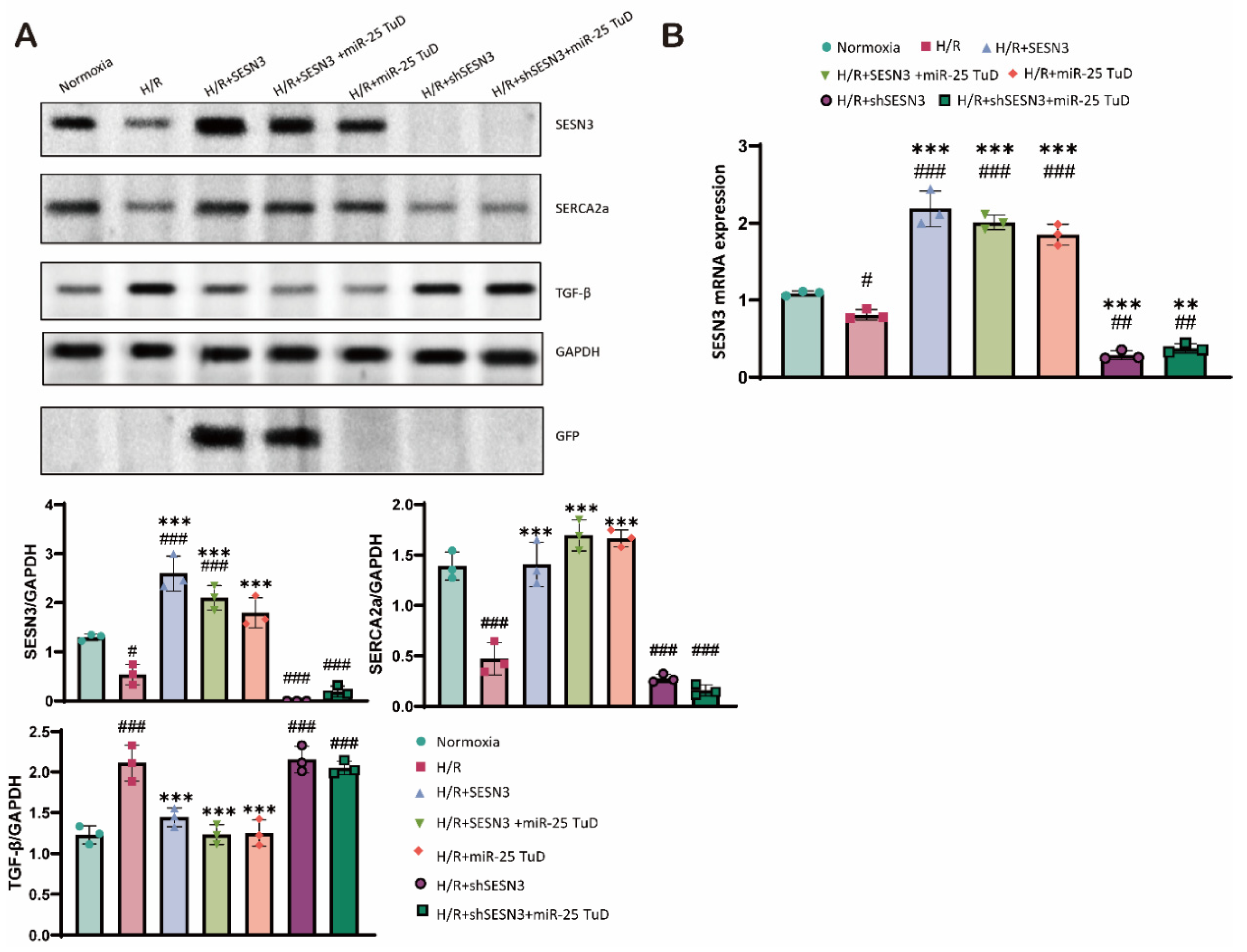 Preprints 121409 g006