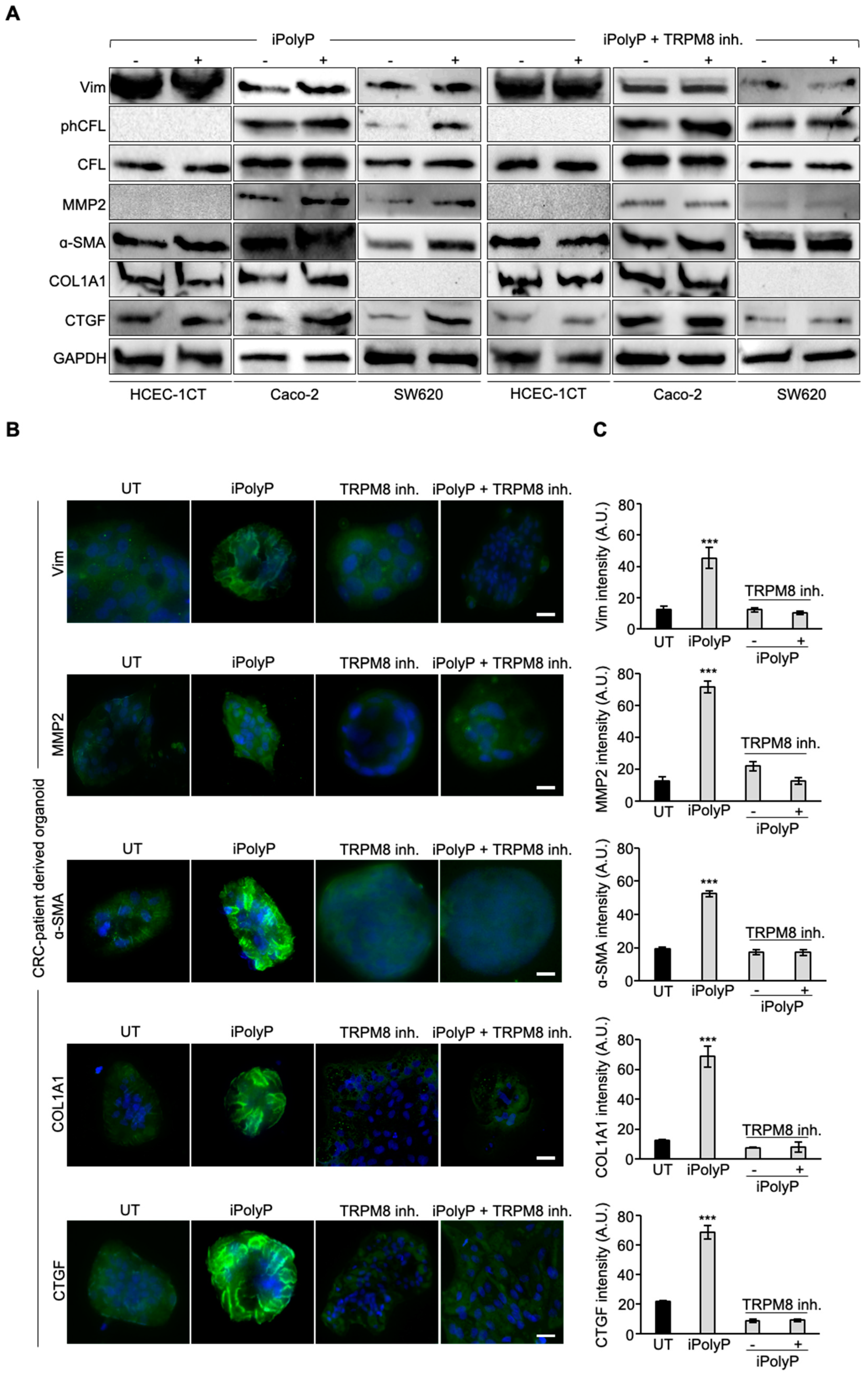 Preprints 137685 g001