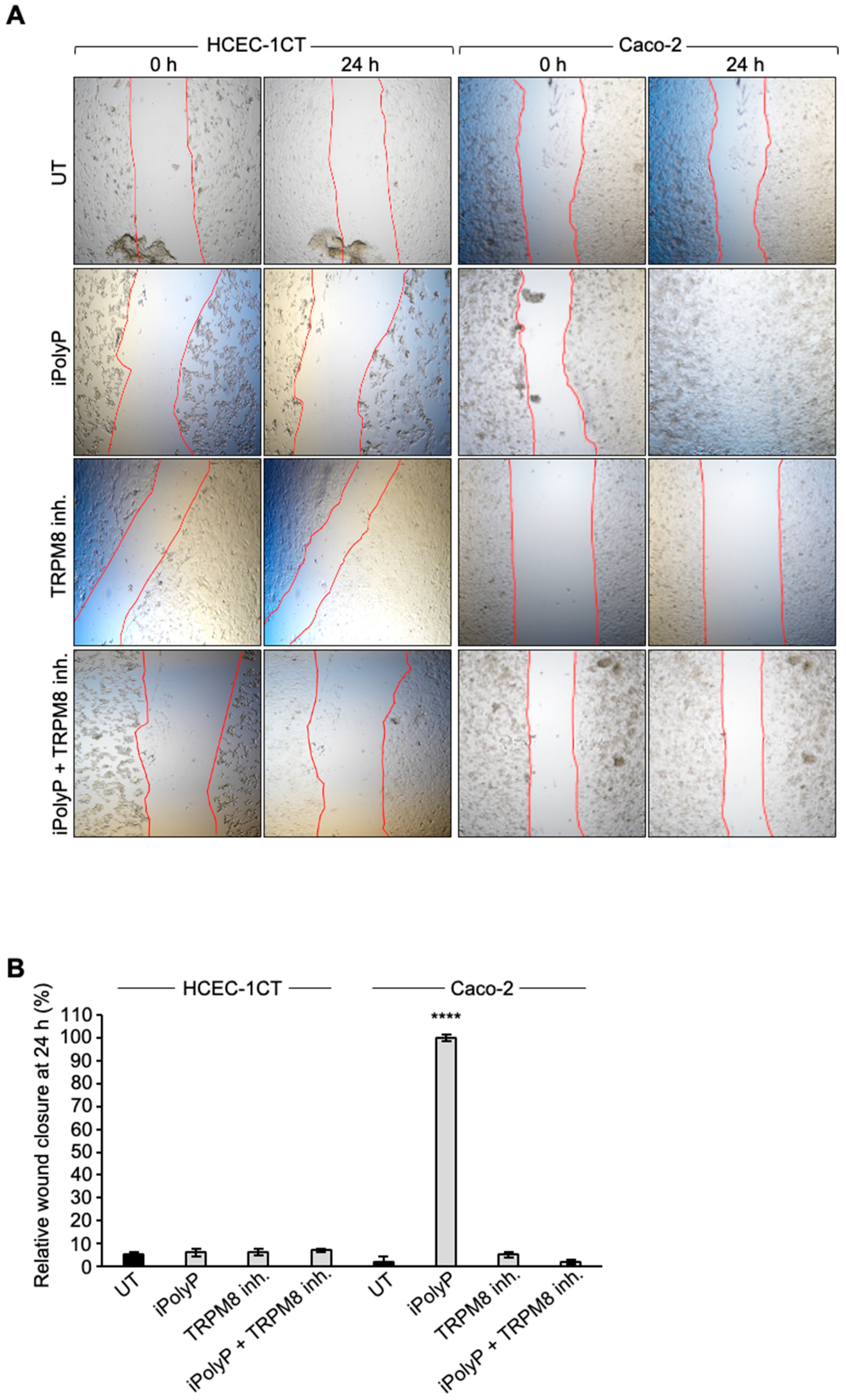 Preprints 137685 g002