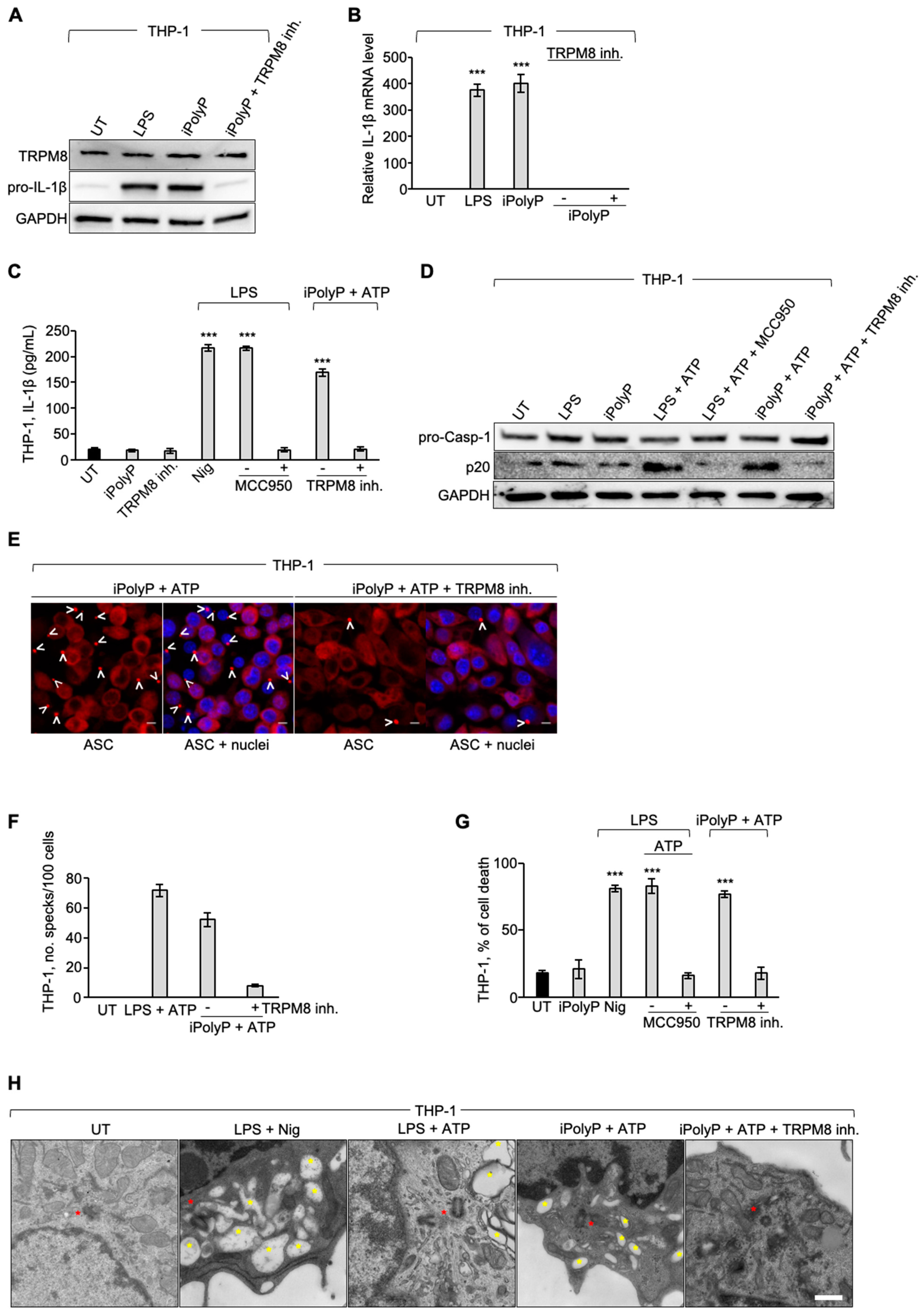 Preprints 137685 g003