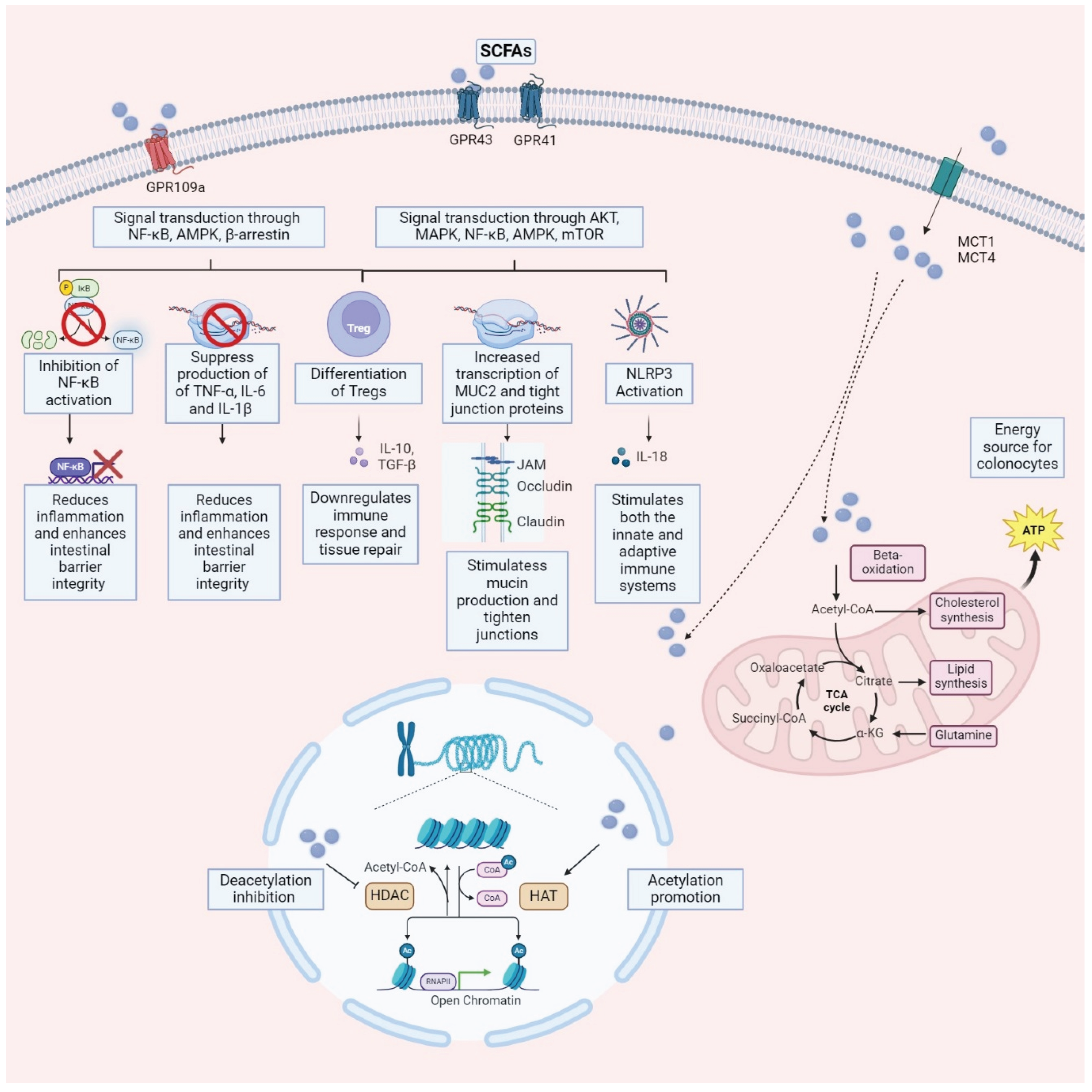 Preprints 102338 g002