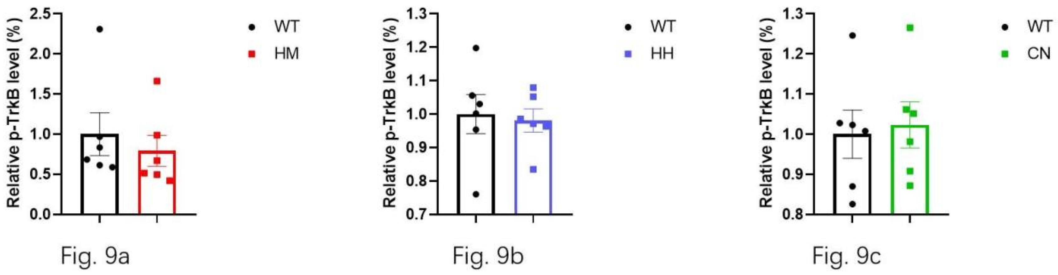 Preprints 118989 g009