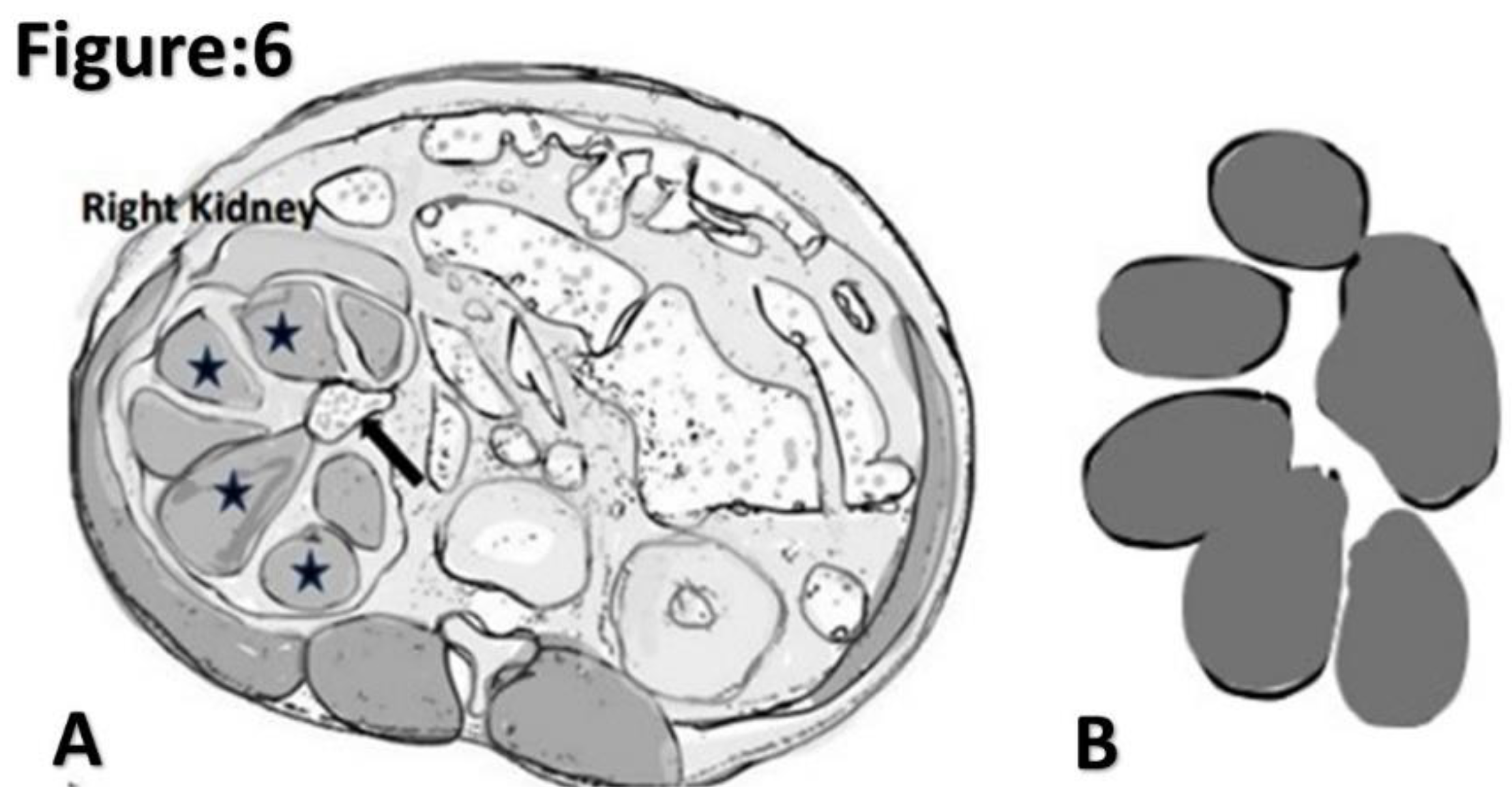 Preprints 94304 g006