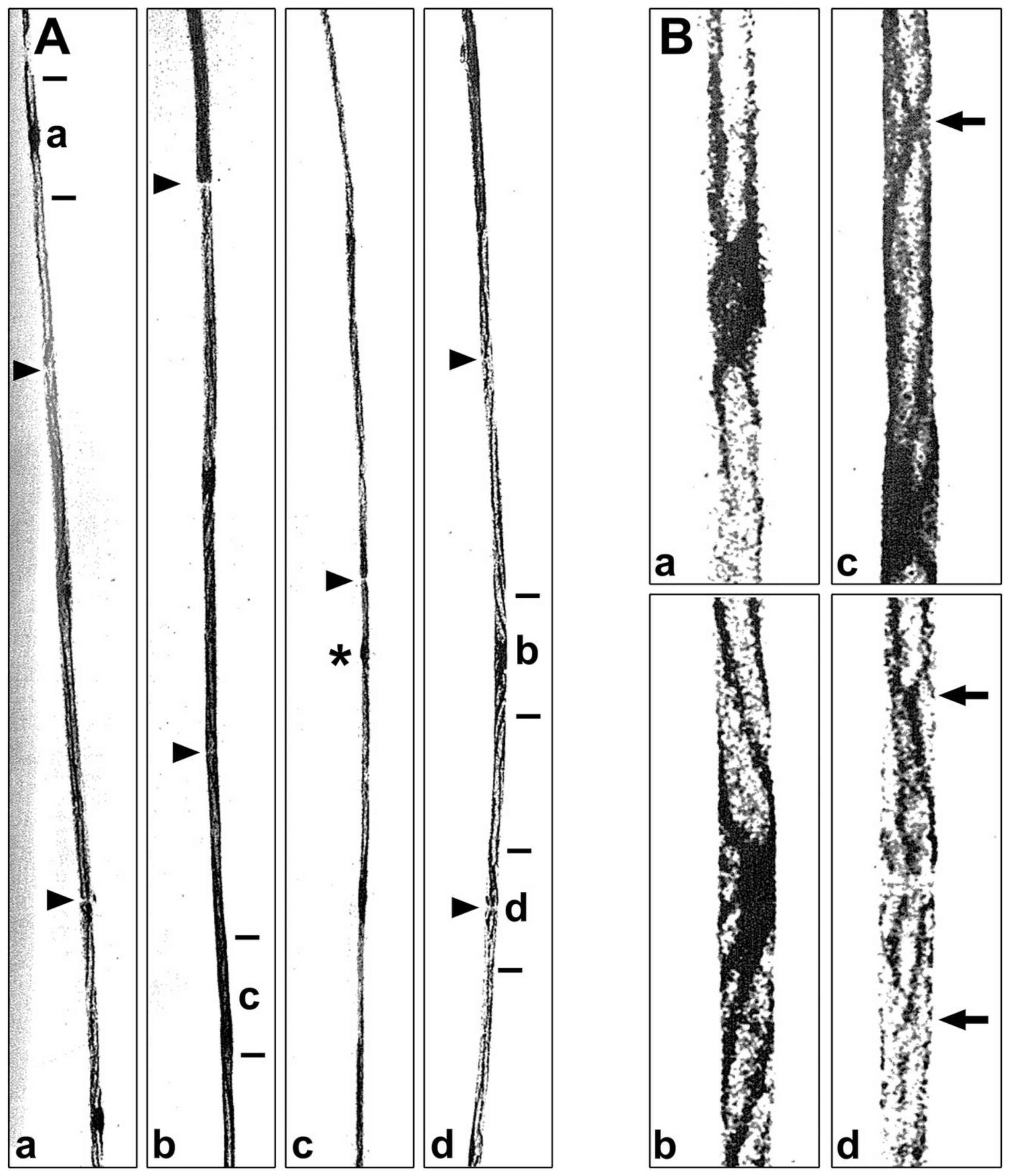 Preprints 105985 g002