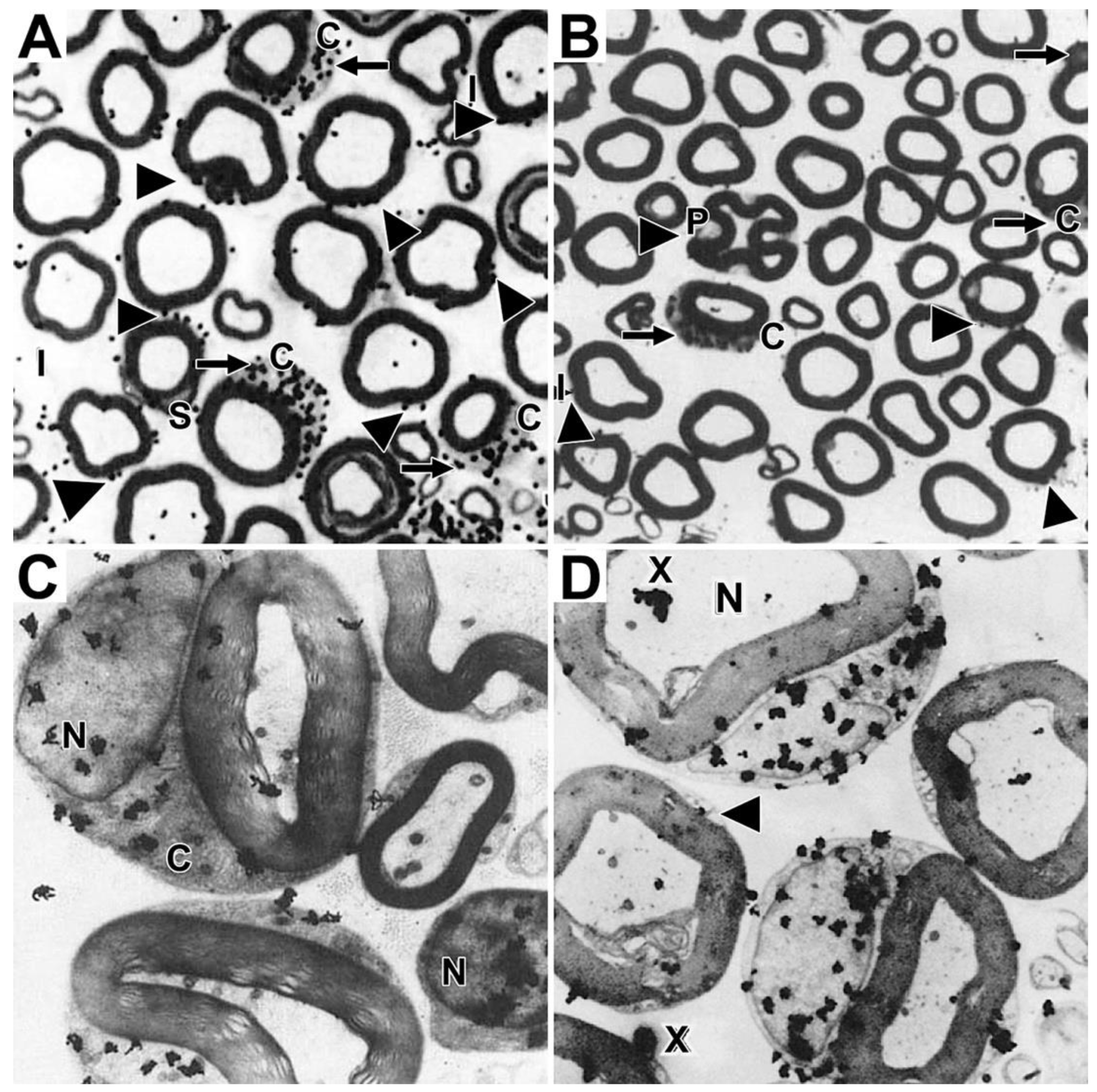 Preprints 105985 g006