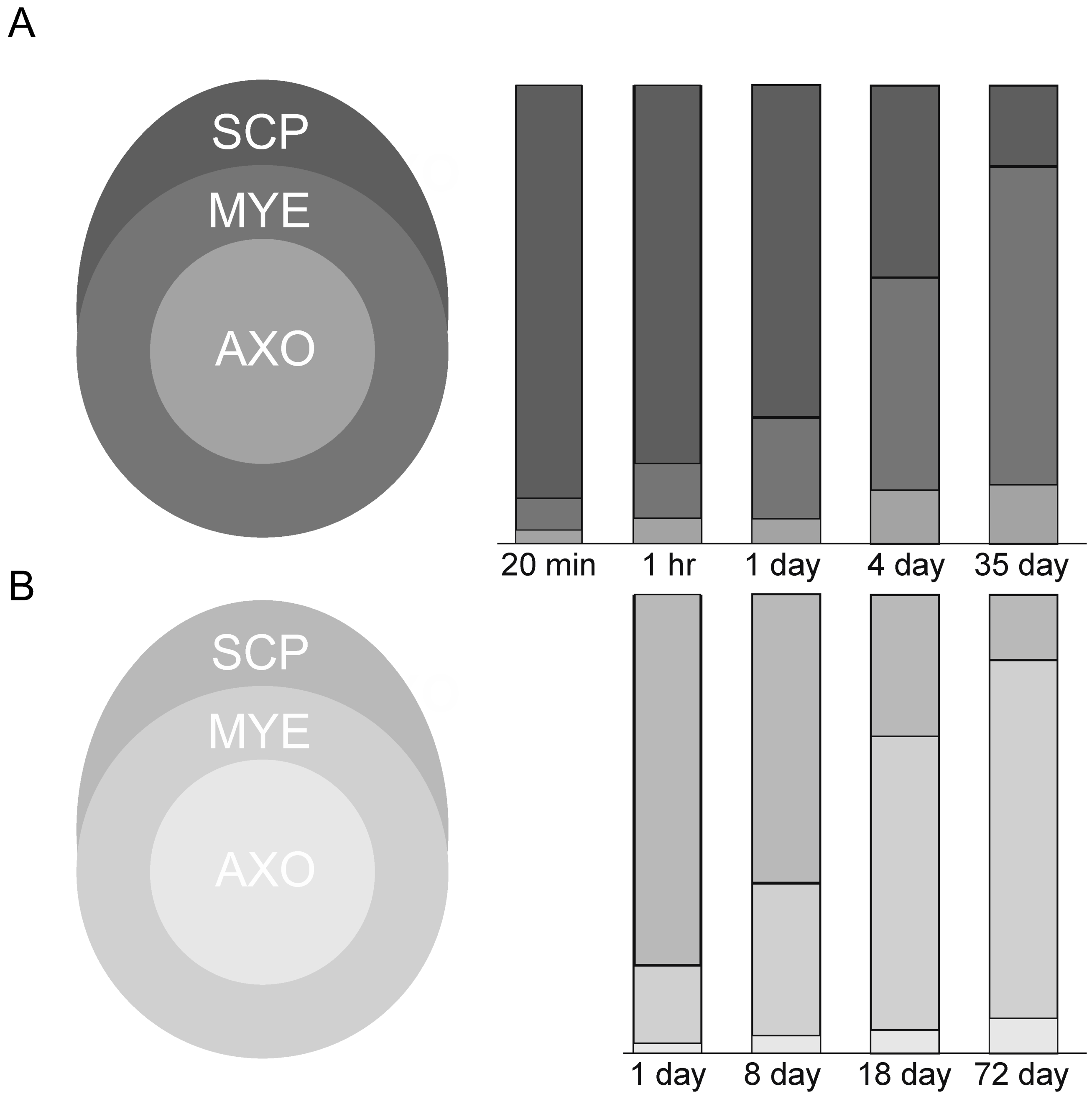 Preprints 105985 g012