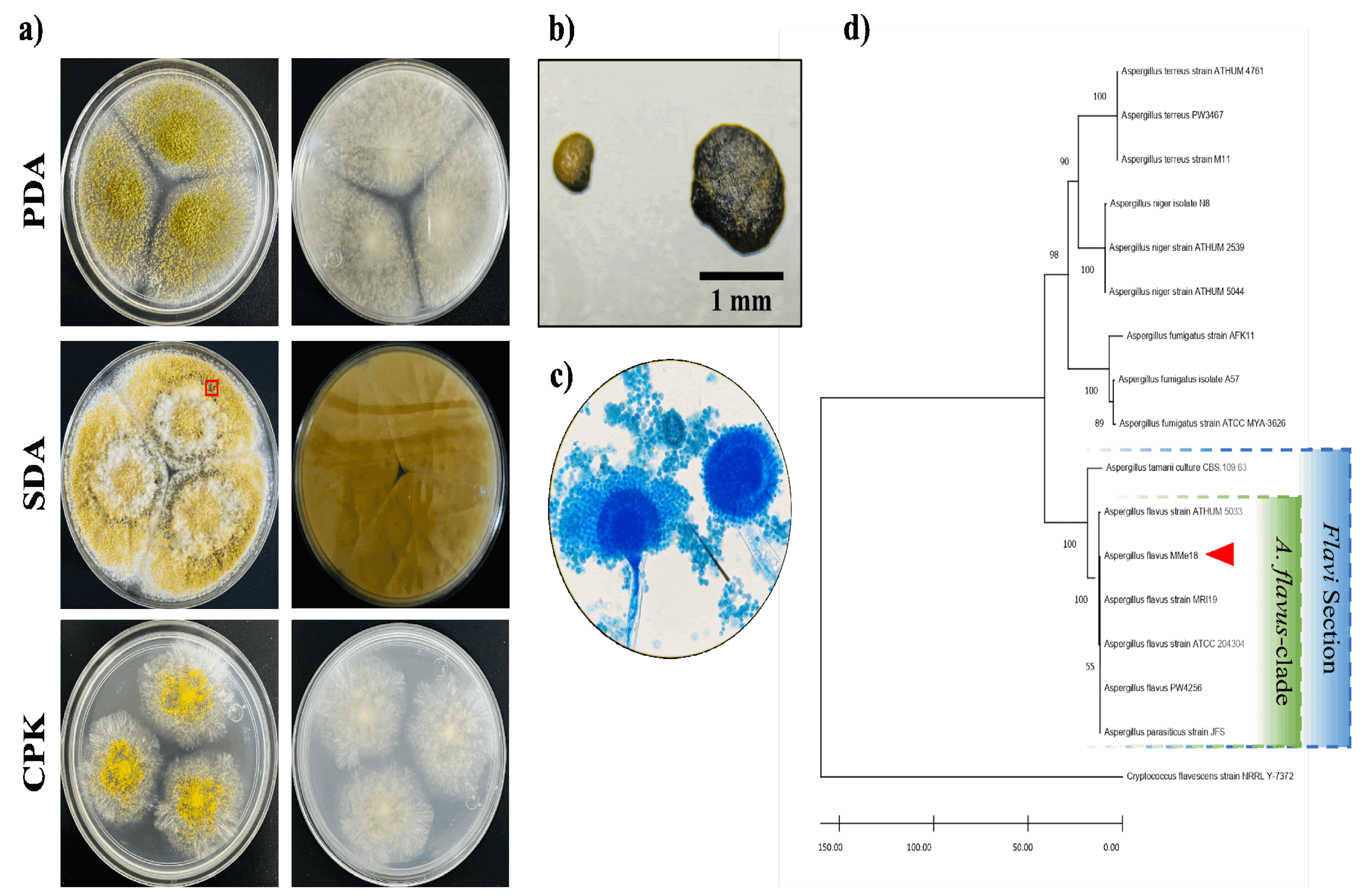 Preprints 118086 g001