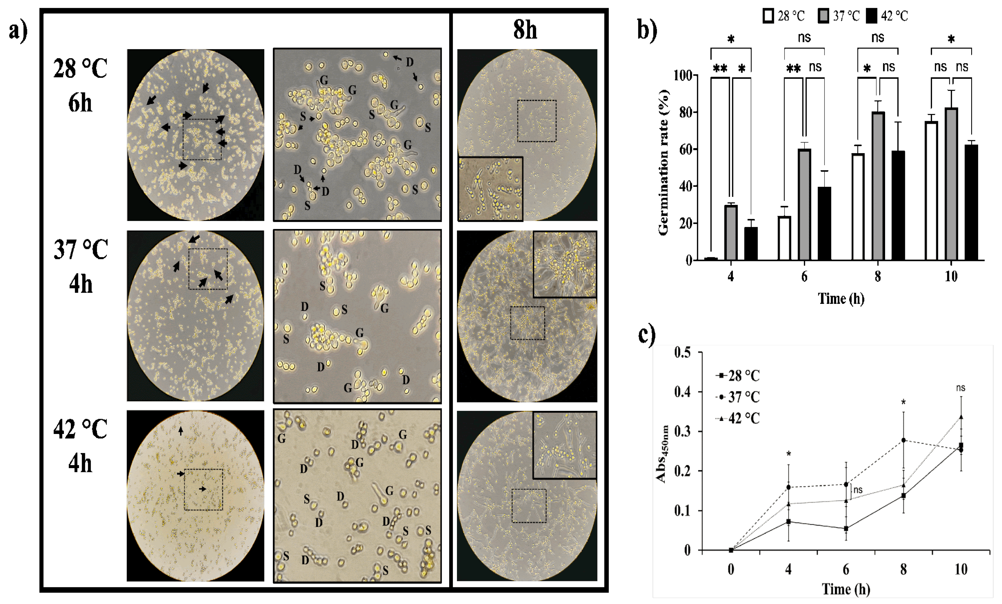 Preprints 118086 g003