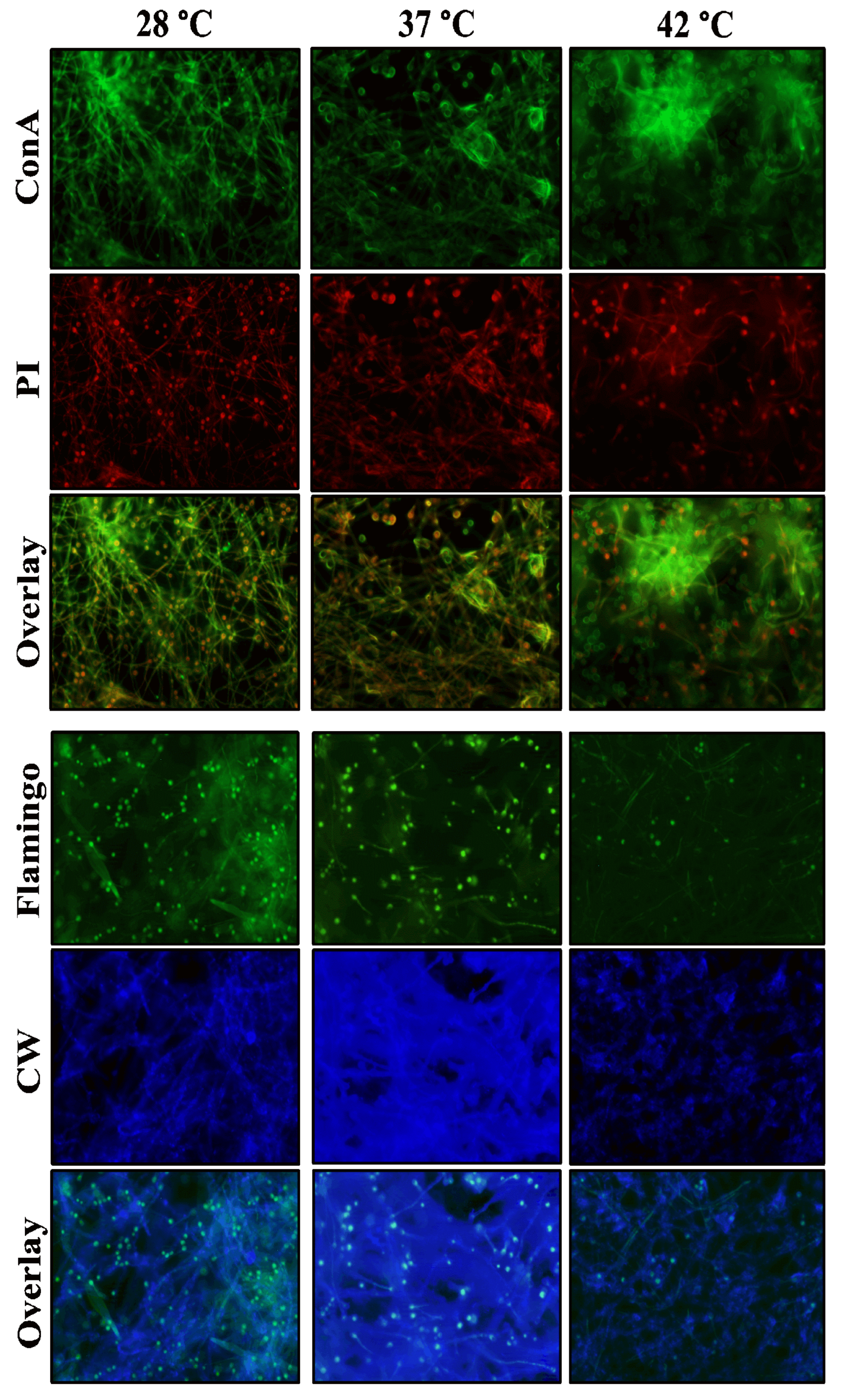 Preprints 118086 g006