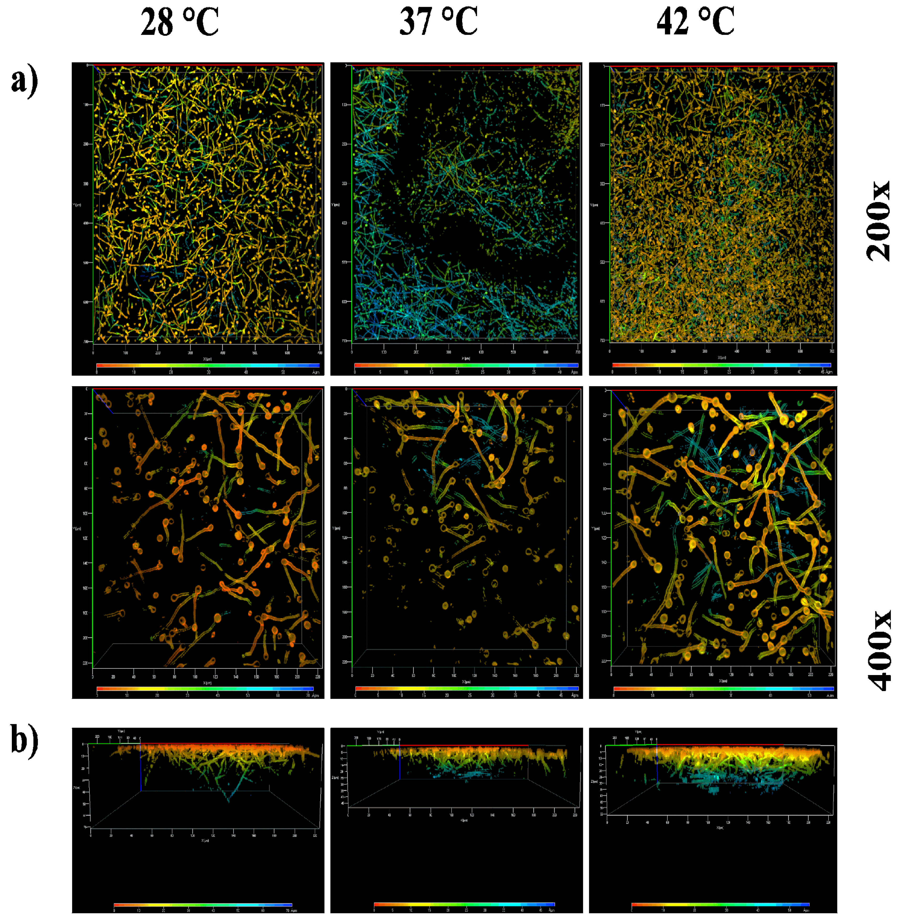 Preprints 118086 g008