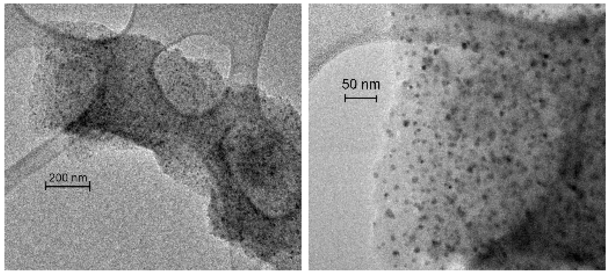 Preprints 93099 g004a