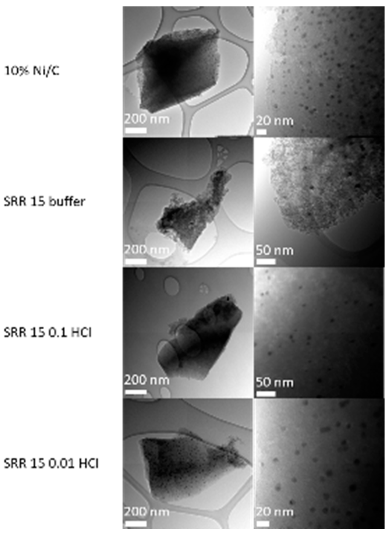 Preprints 93099 g007