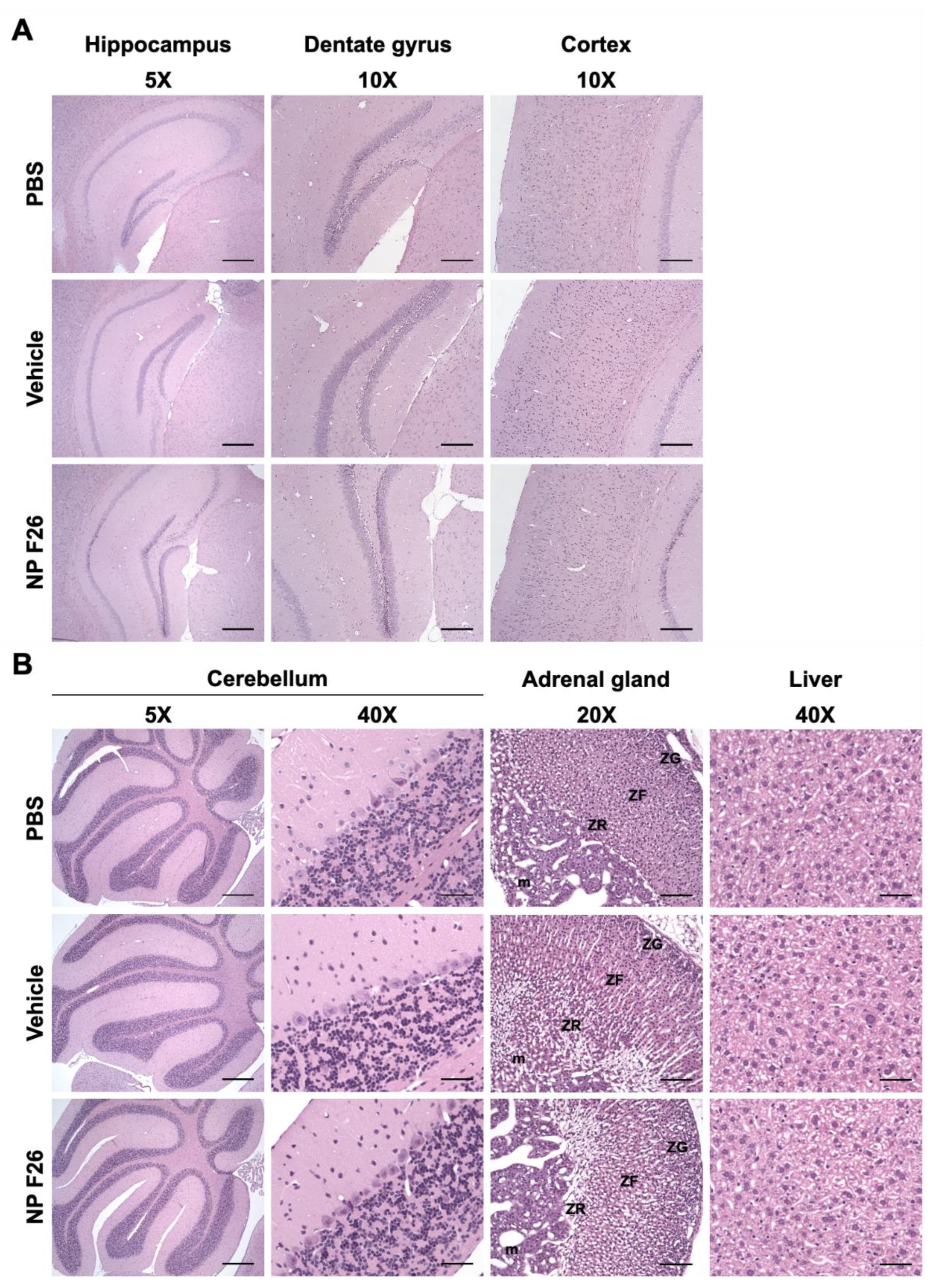 Preprints 113681 g006