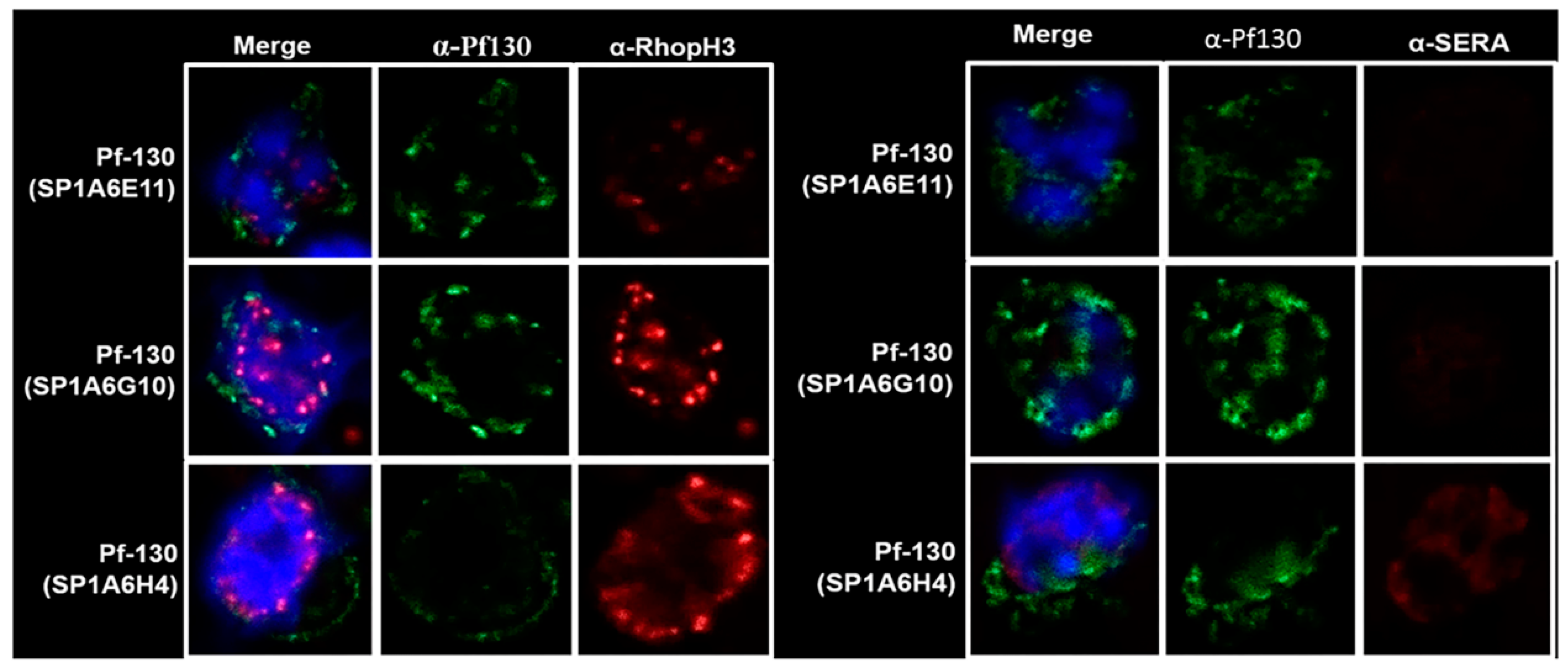 Preprints 121798 g001