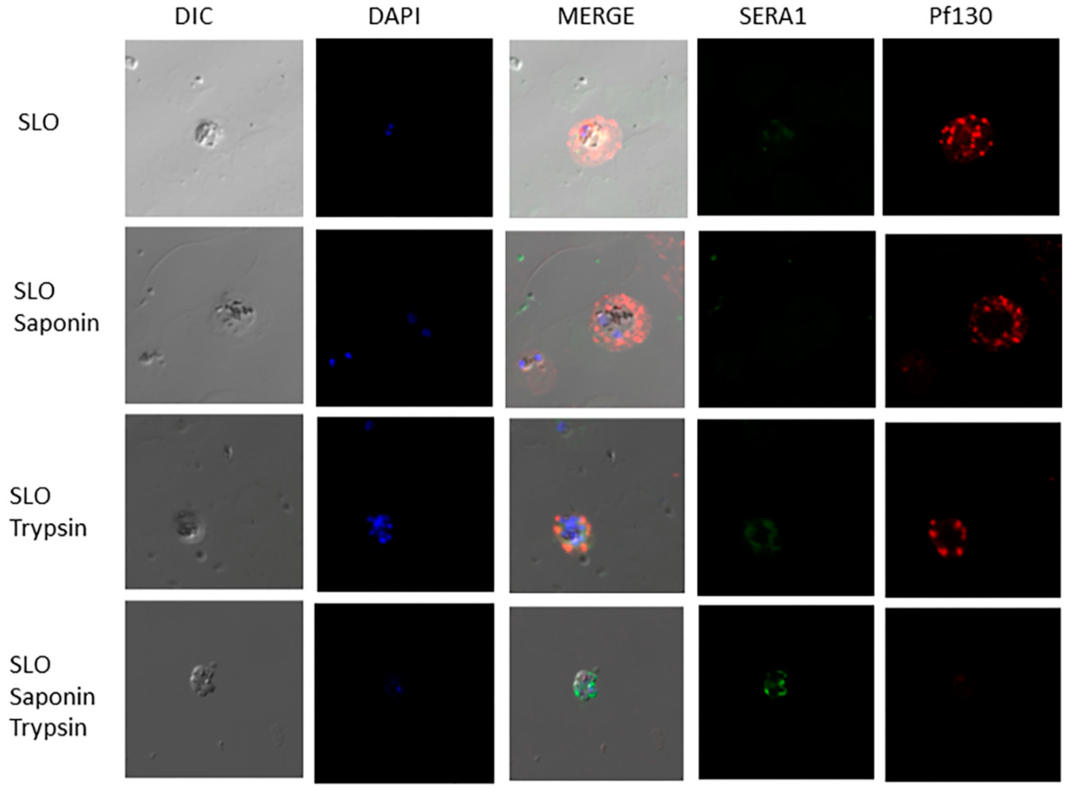 Preprints 121798 g003