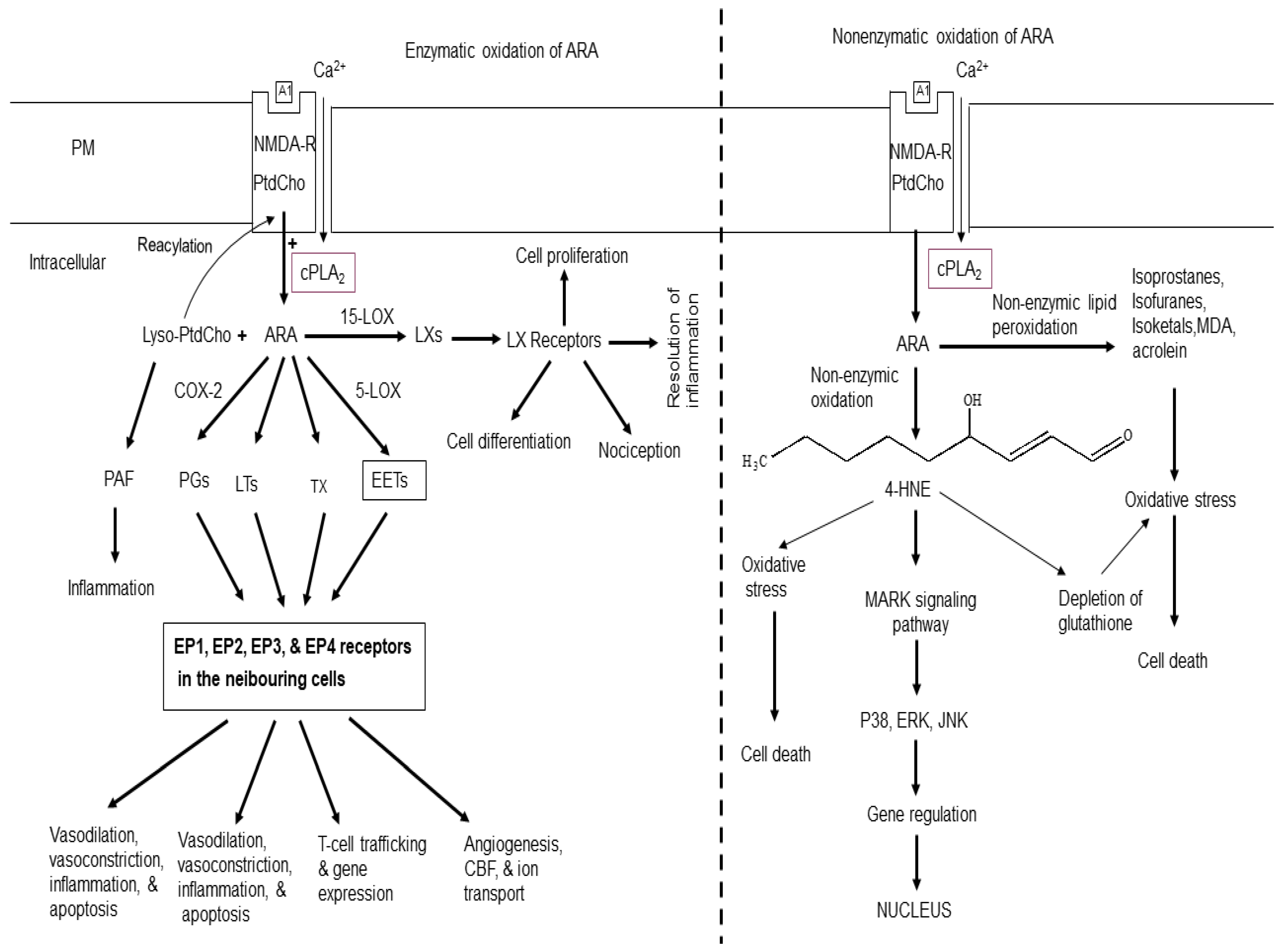 Preprints 114190 g001