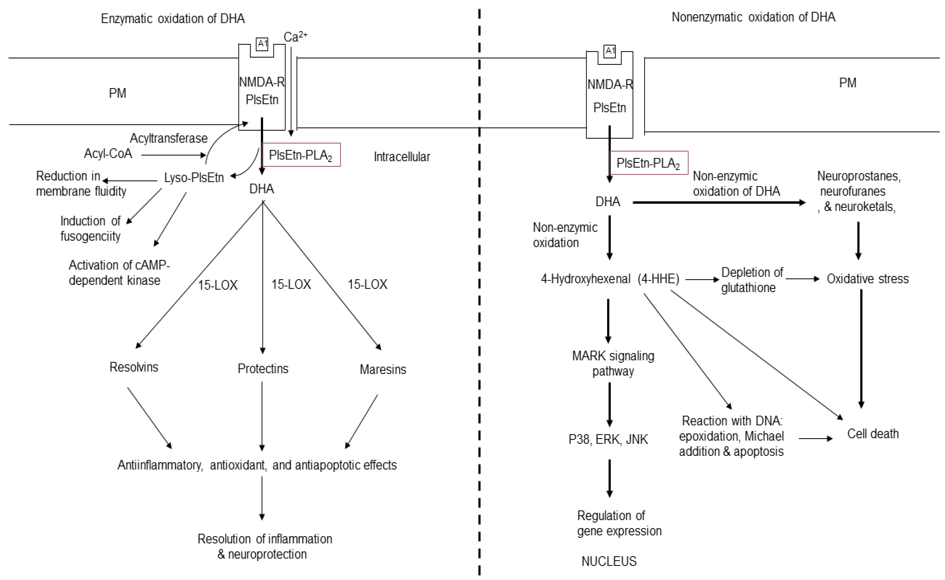 Preprints 114190 g003