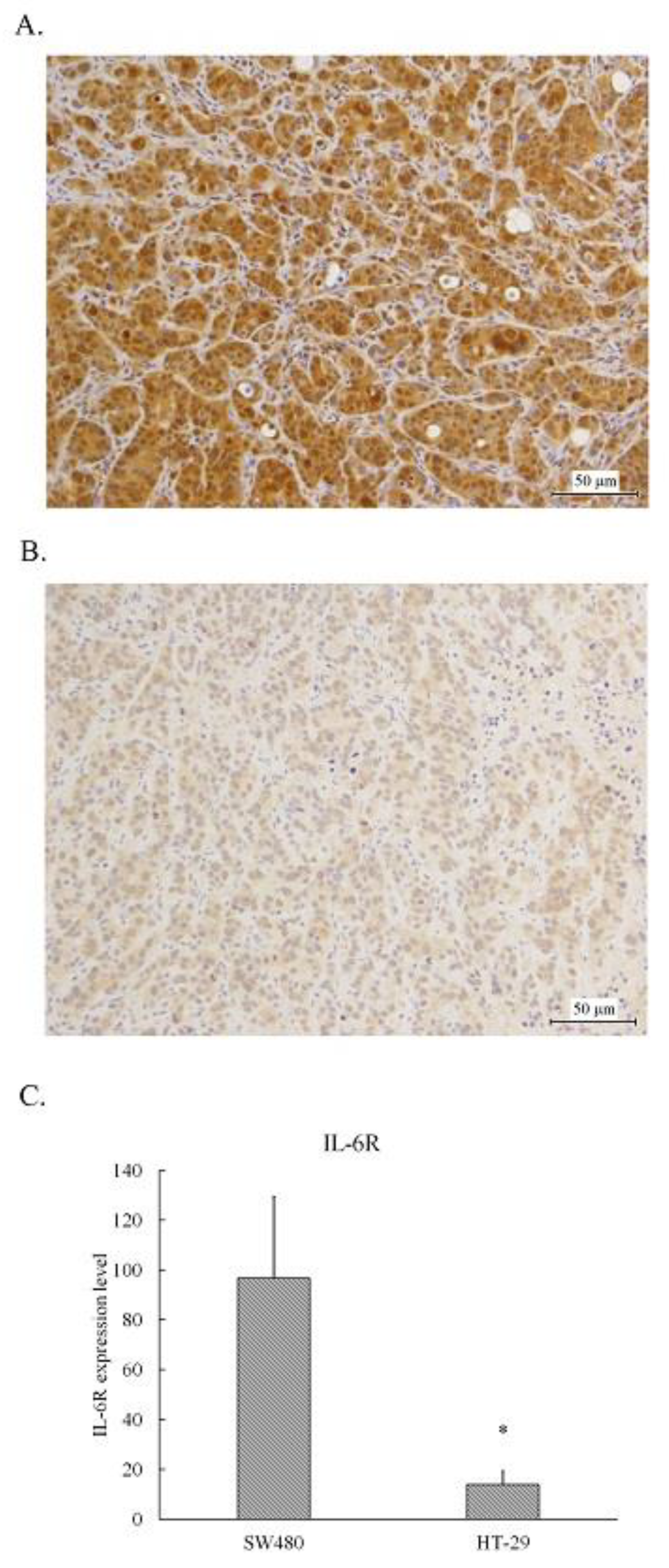 Preprints 91431 g001