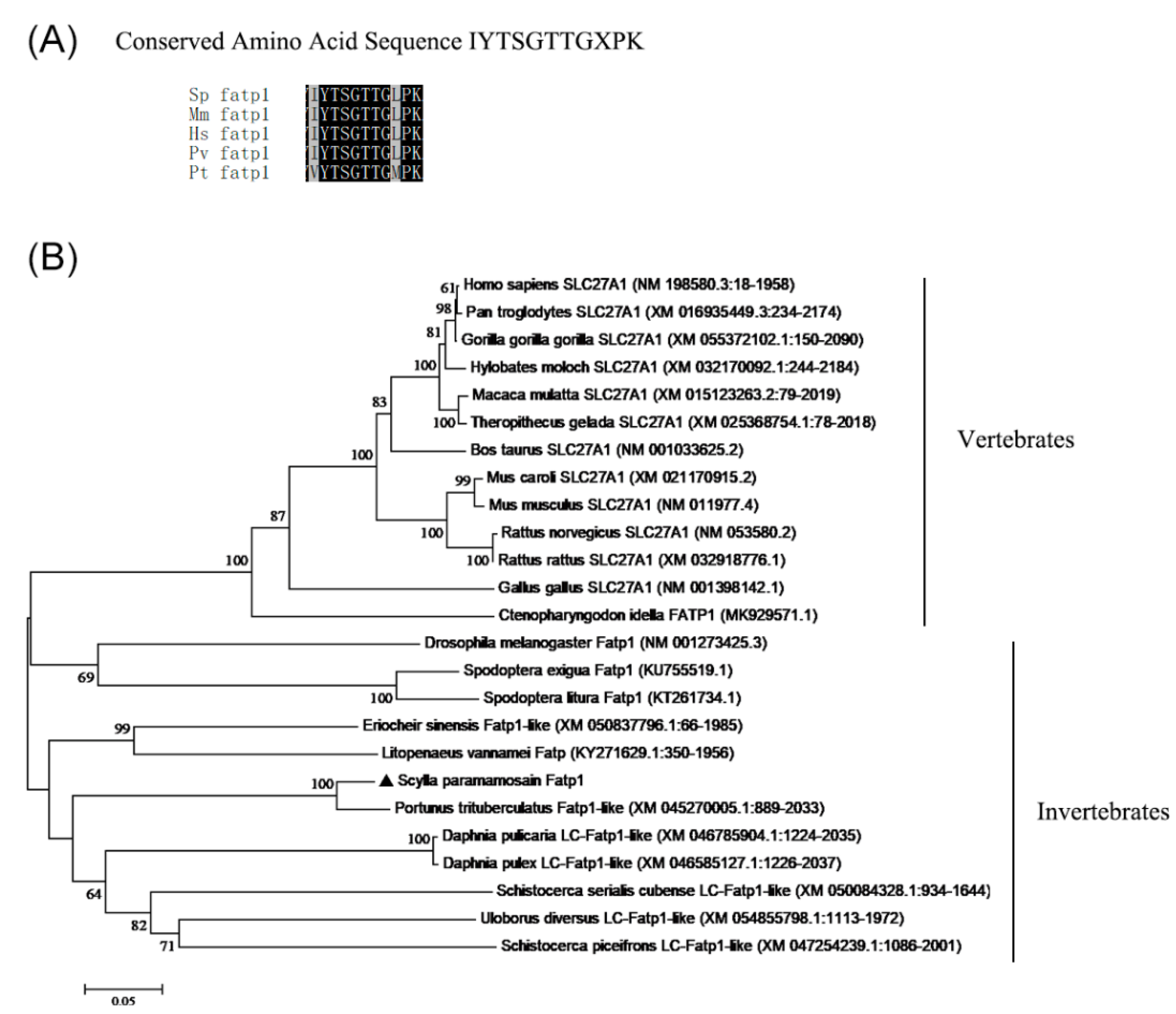 Preprints 117221 g001