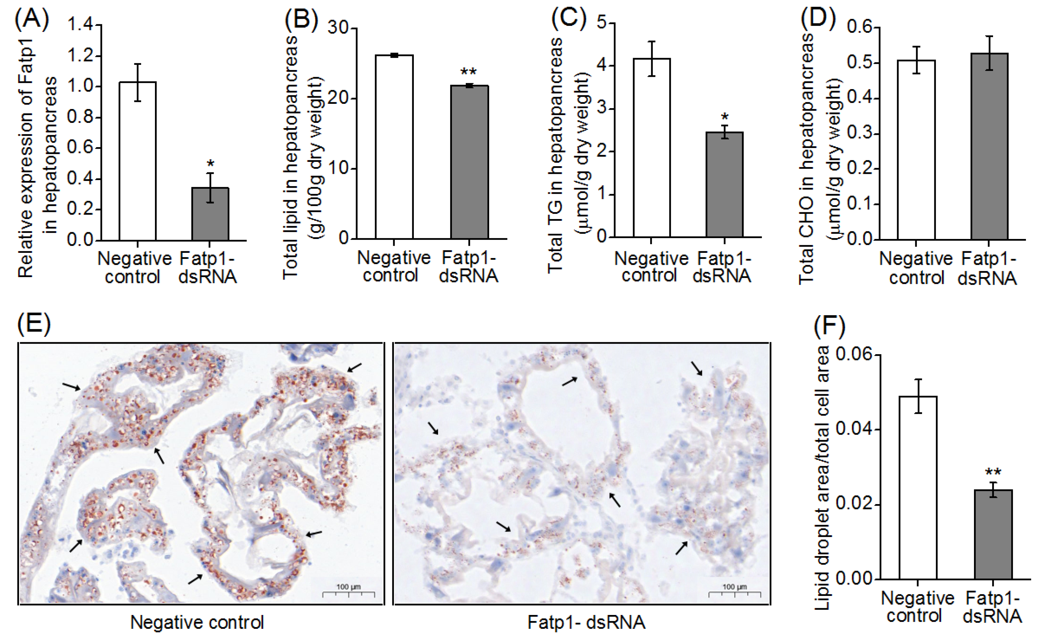 Preprints 117221 g004