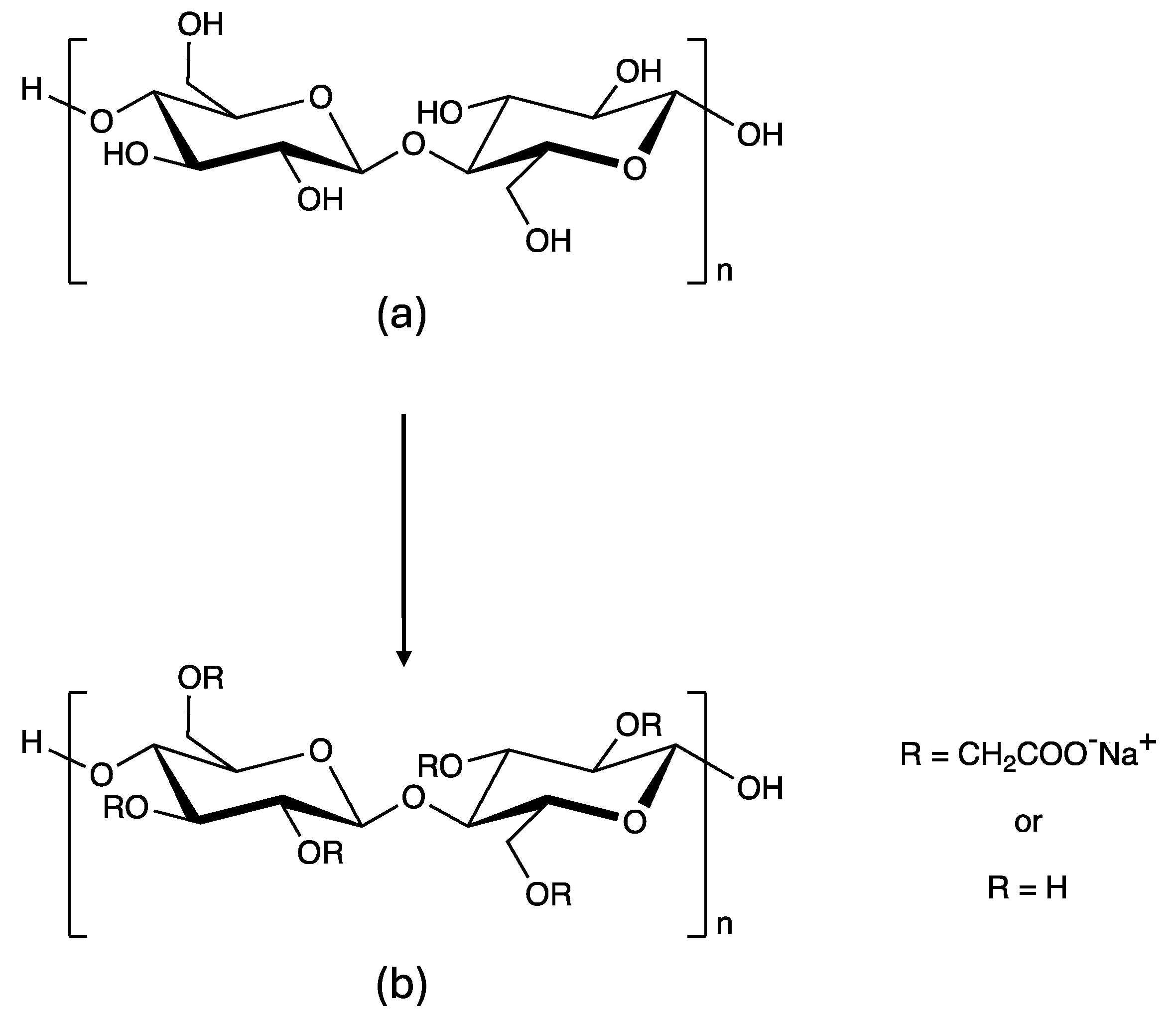 Preprints 102546 g006