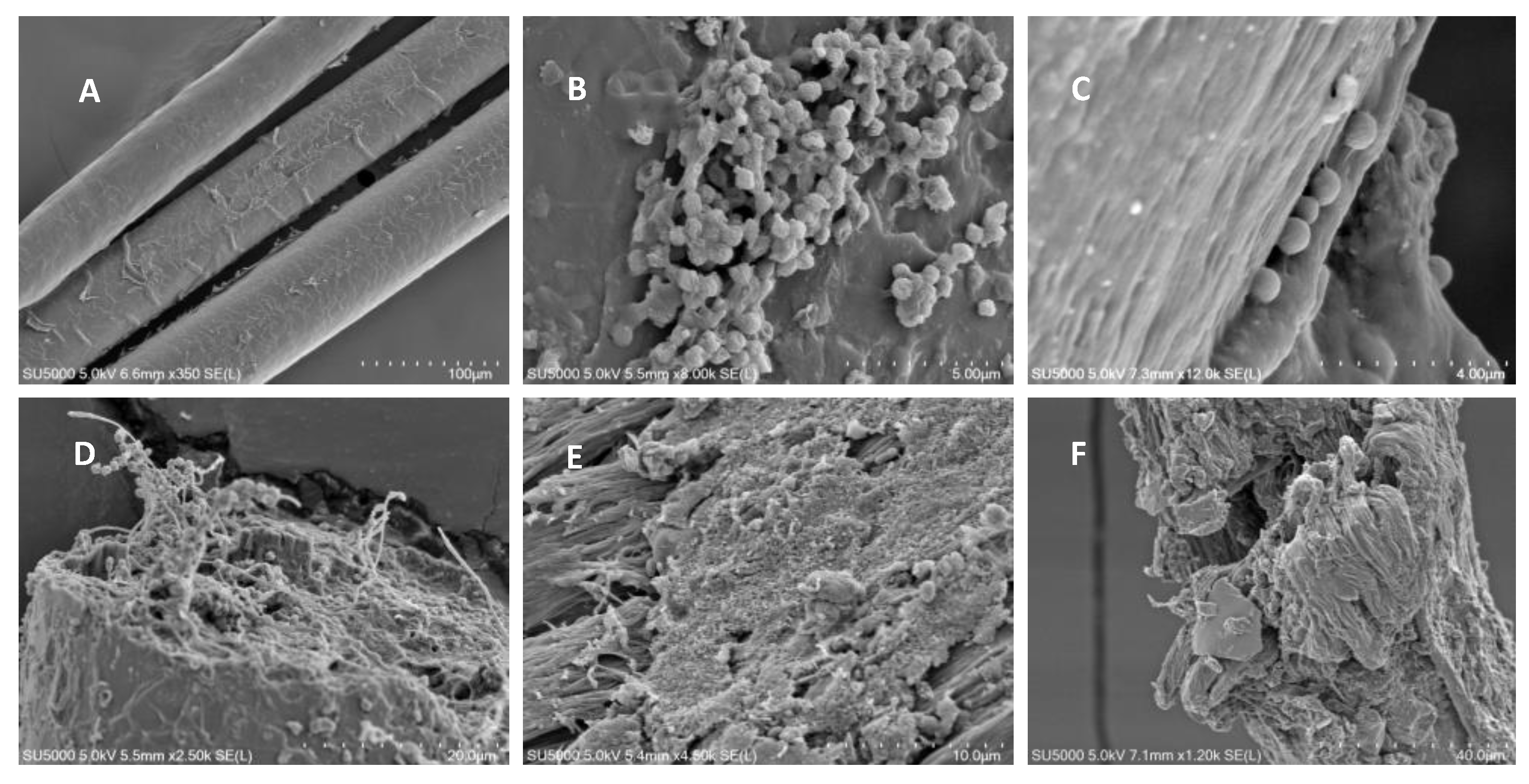 Preprints 102546 g007