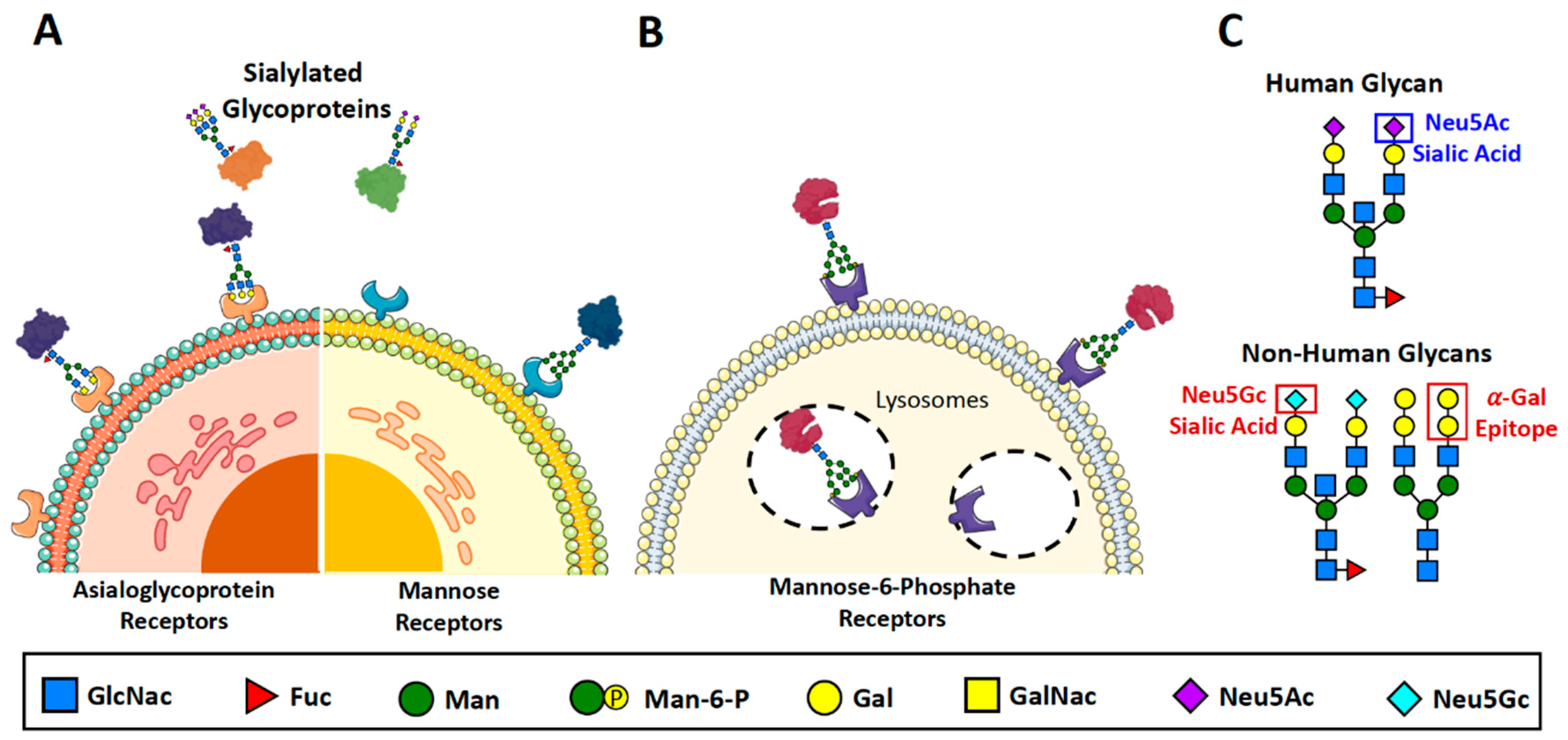 Preprints 69361 g002