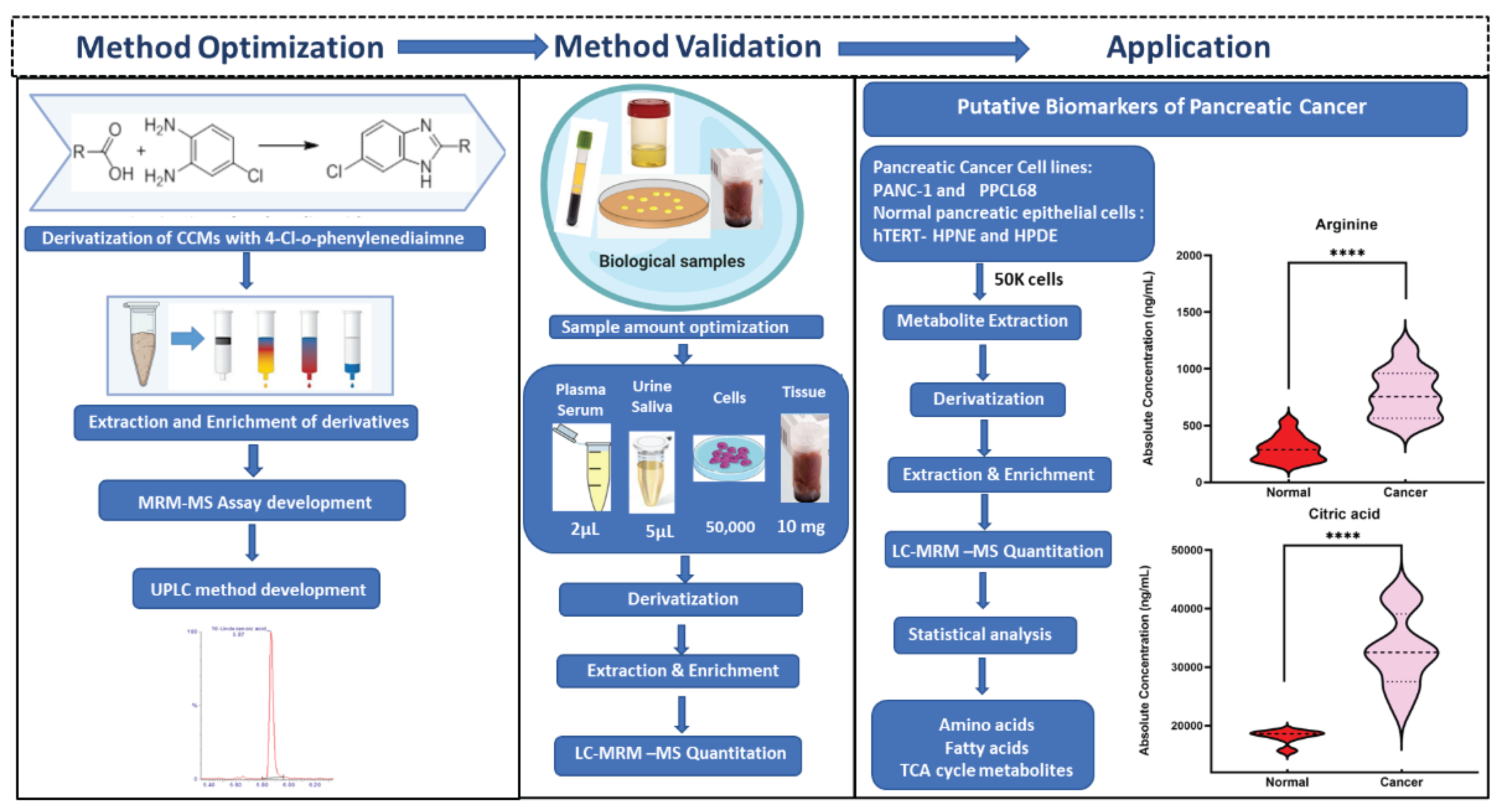 Preprints 103345 g001