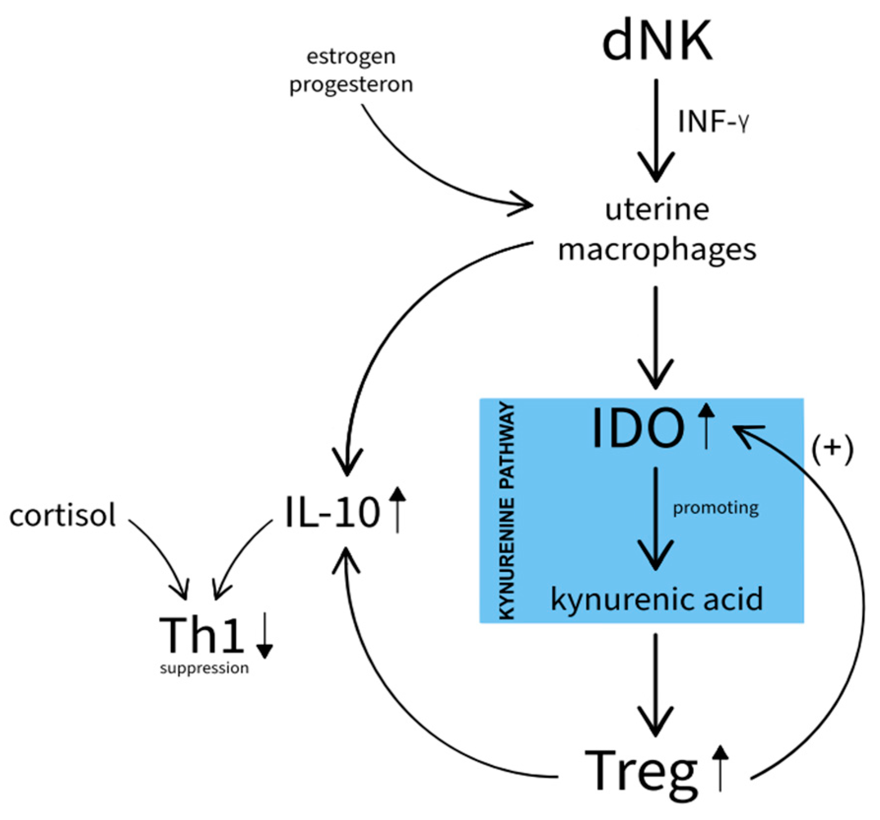 Preprints 85692 g001