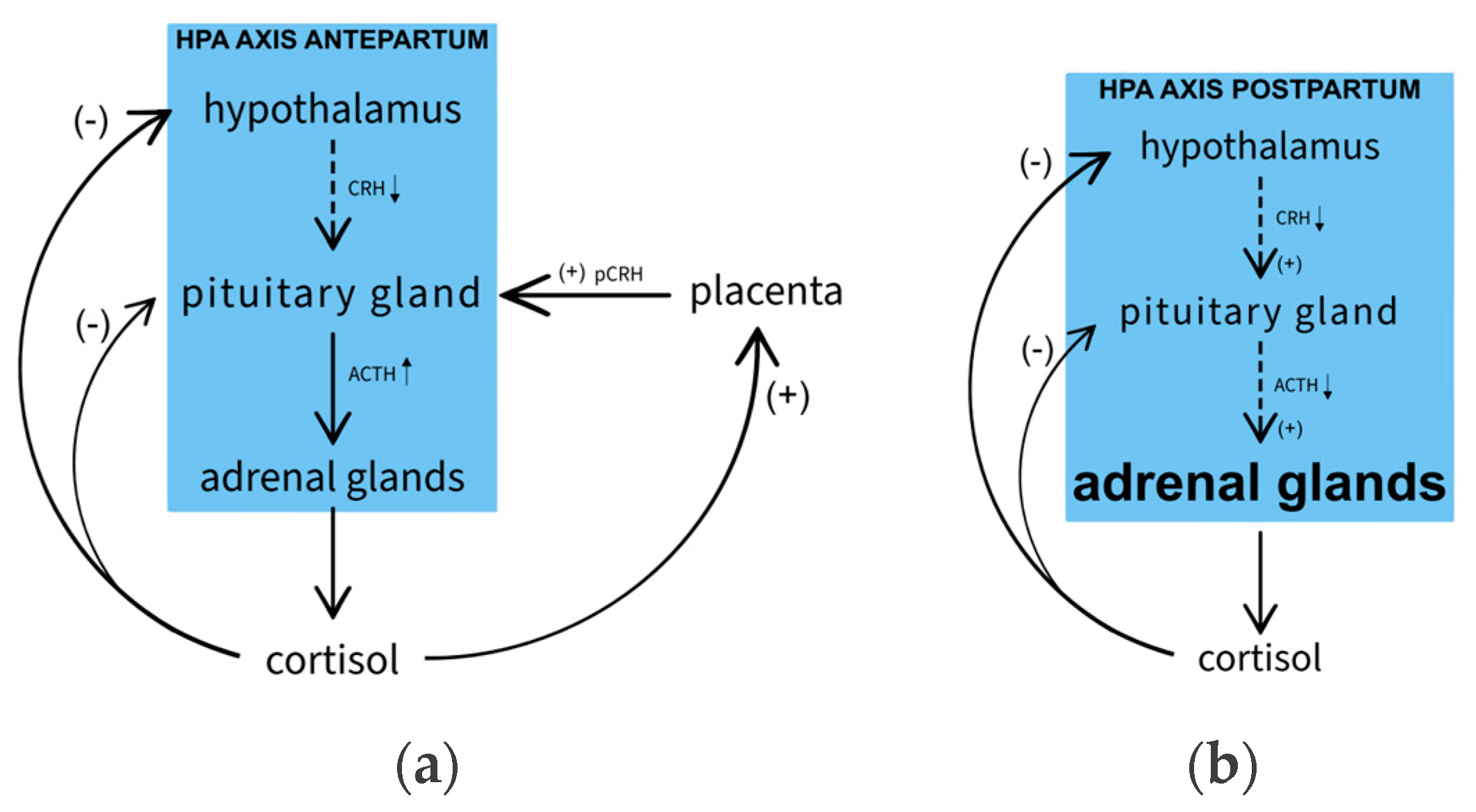 Preprints 85692 g003