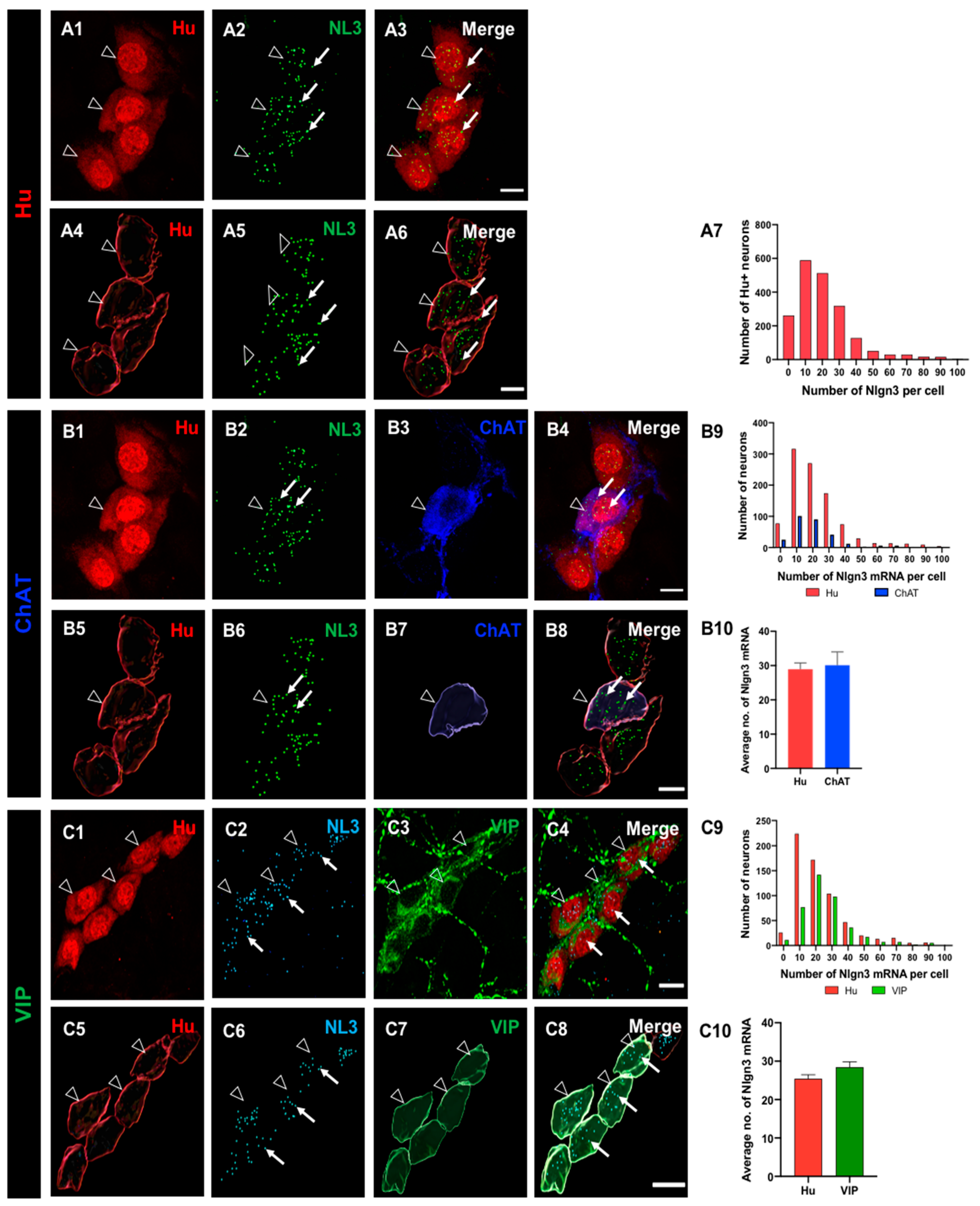 Preprints 76813 g001