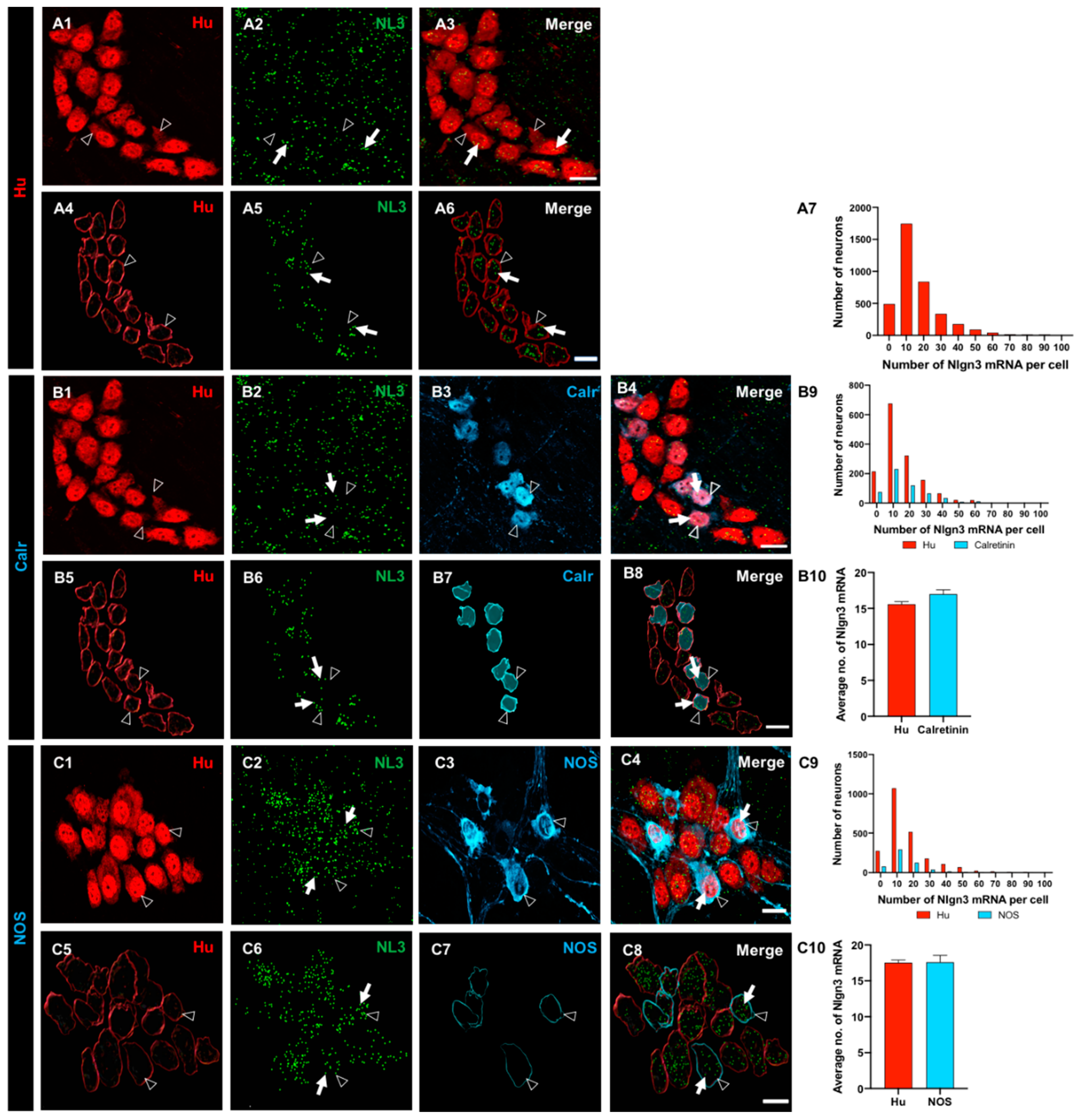 Preprints 76813 g002