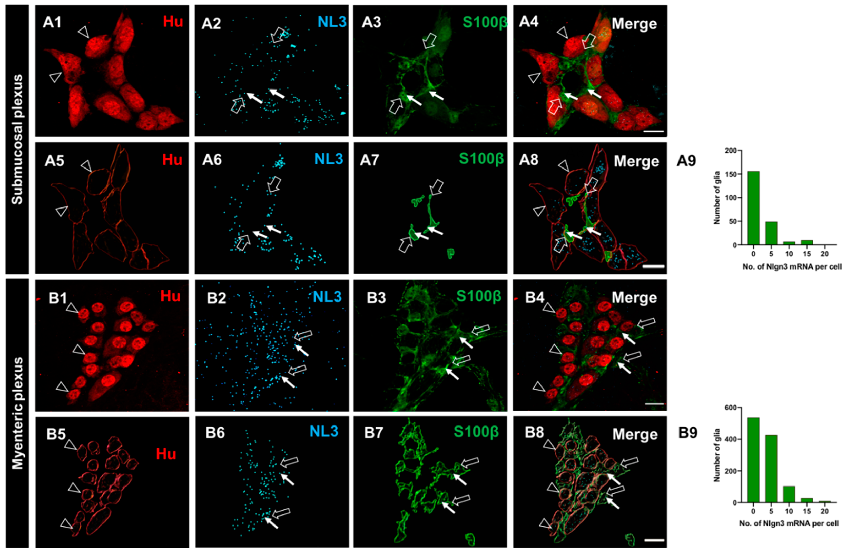 Preprints 76813 g003