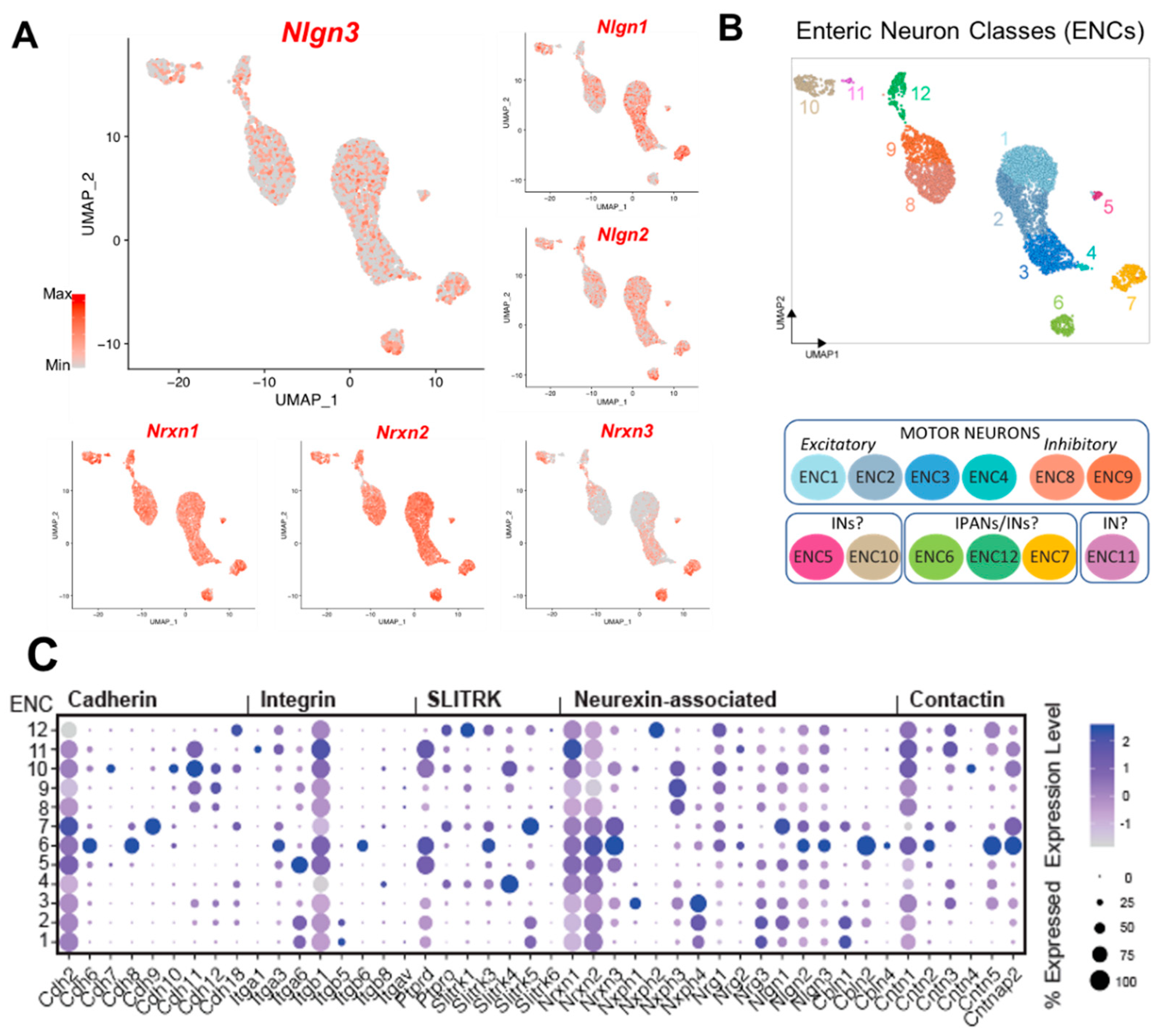 Preprints 76813 g004