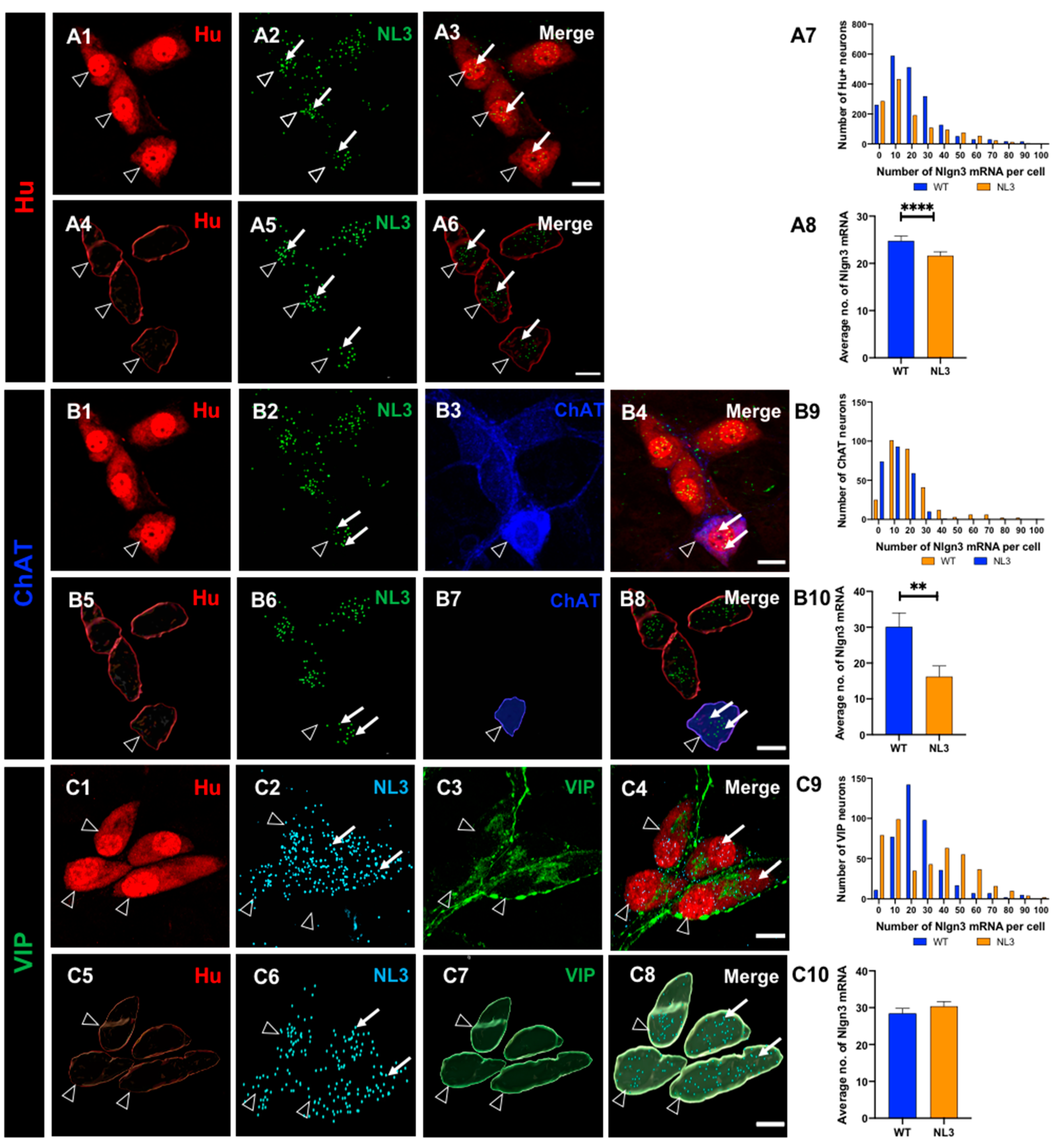 Preprints 76813 g006